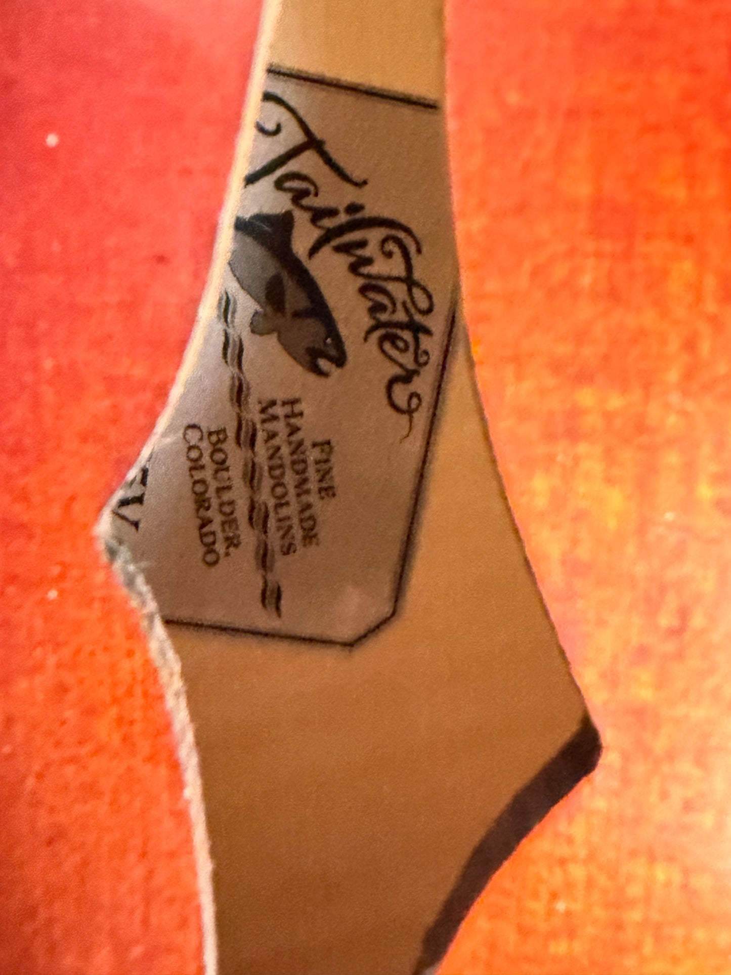 Tailwater TW-F5V F-Style Mandolin - New