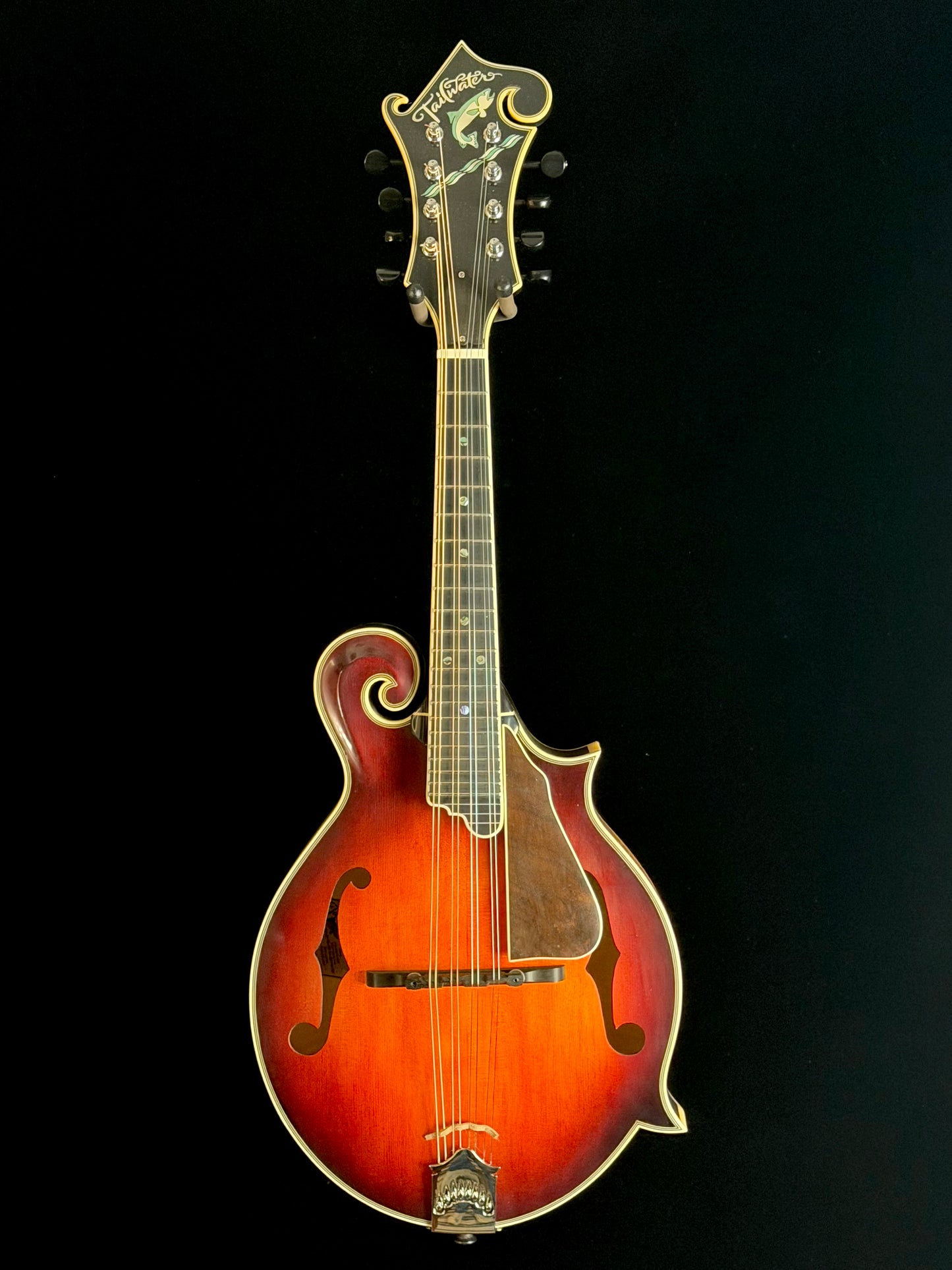 Tailwater TW-F5V F-Style Mandolin - New