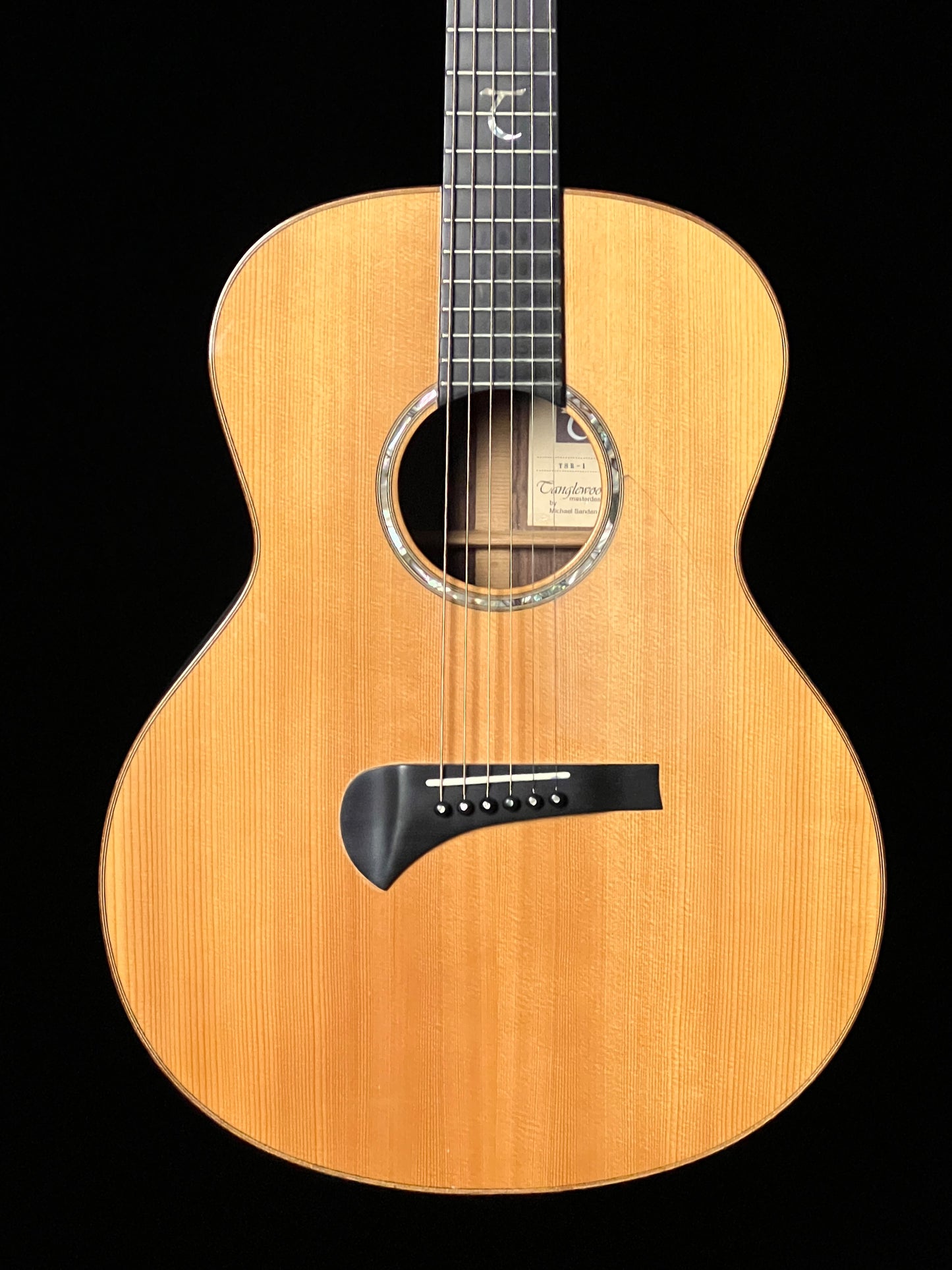 Tanglewood TSR-1 MasterDesign Acoustic Guitar - Used