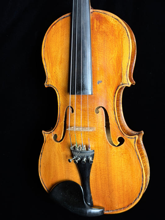 Carolus Bor Dovrak Violin - Used