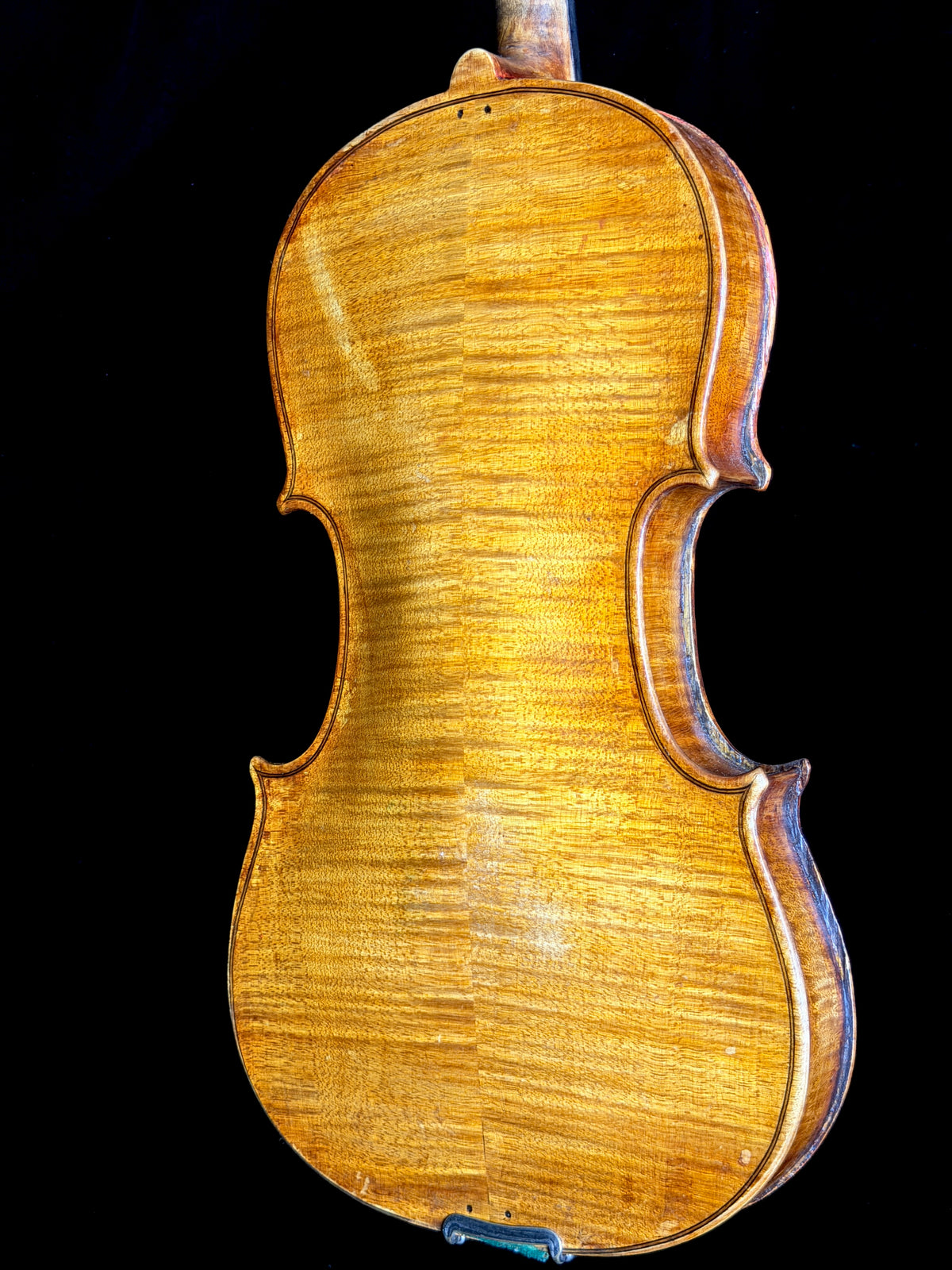 Carolus Bor Dovrak Violin - Used