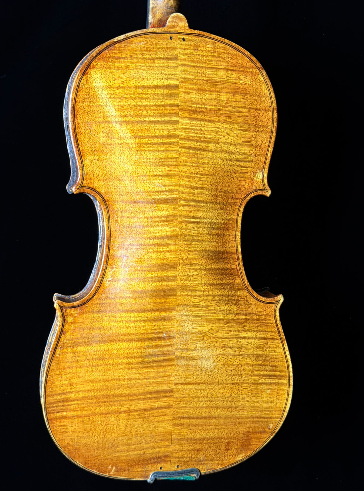 Carolus Bor Dovrak Violin - Used