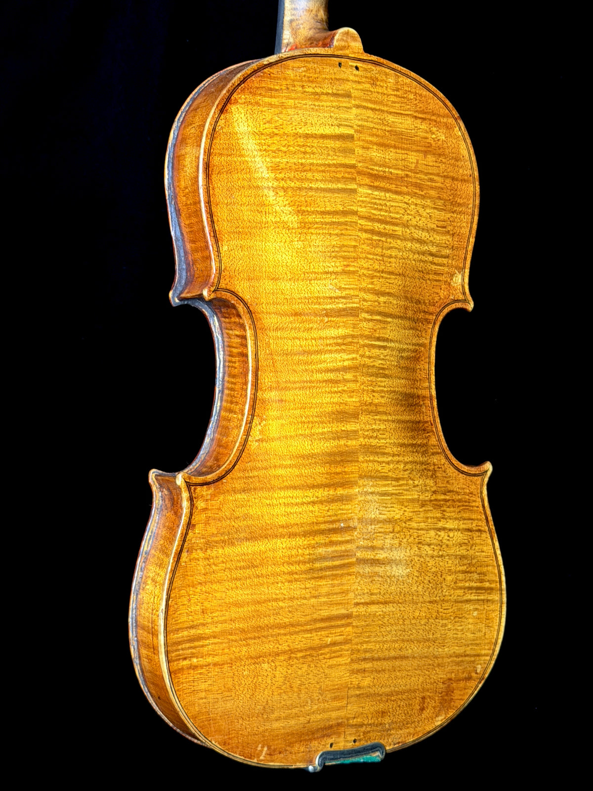 Carolus Bor Dovrak Violin - Used