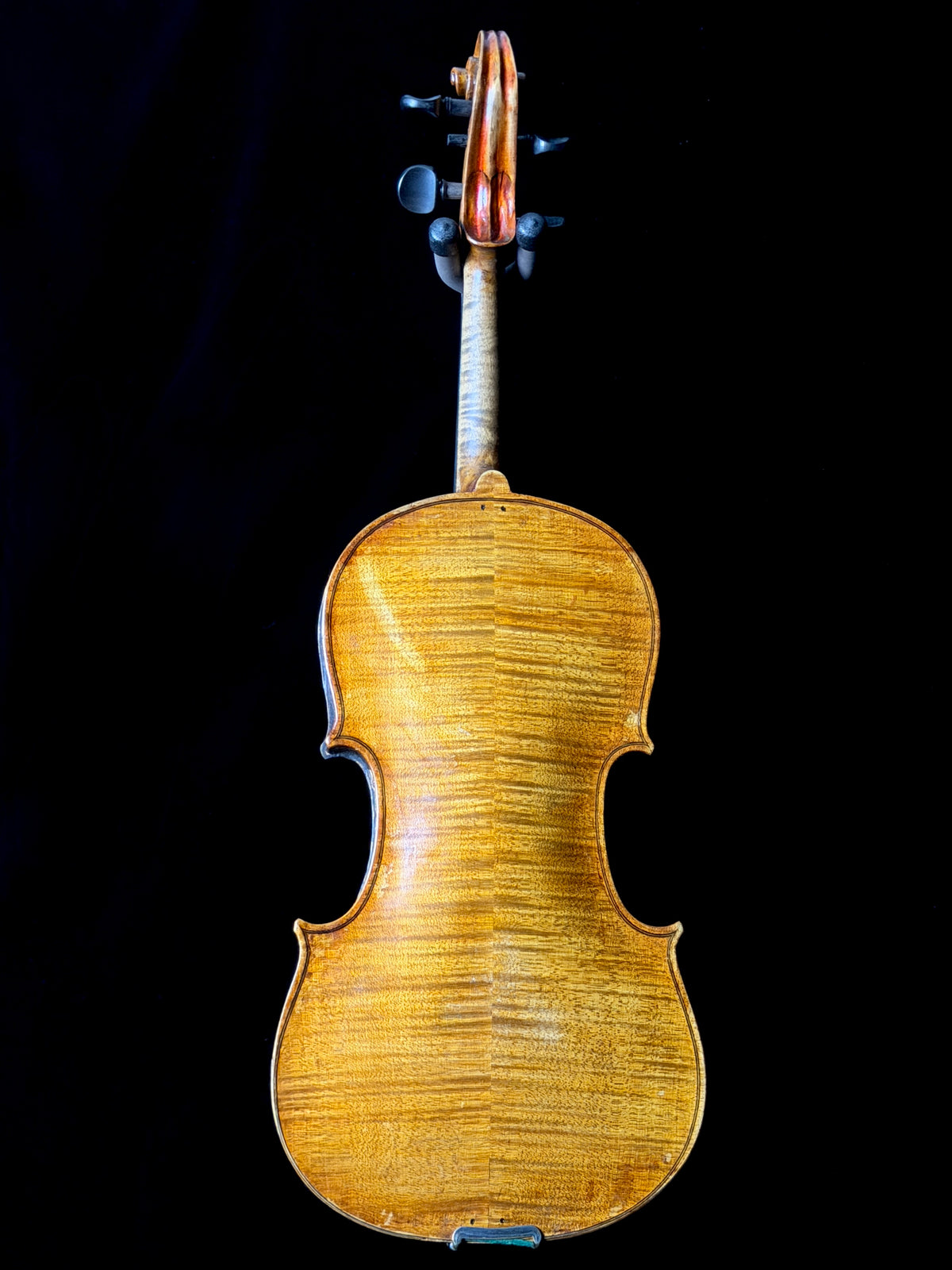 Carolus Bor Dovrak Violin - Used