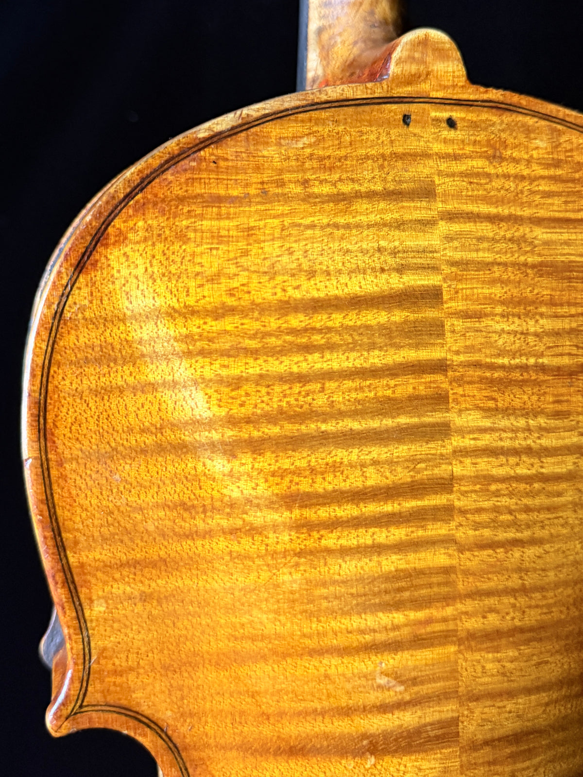 Carolus Bor Dovrak Violin - Used
