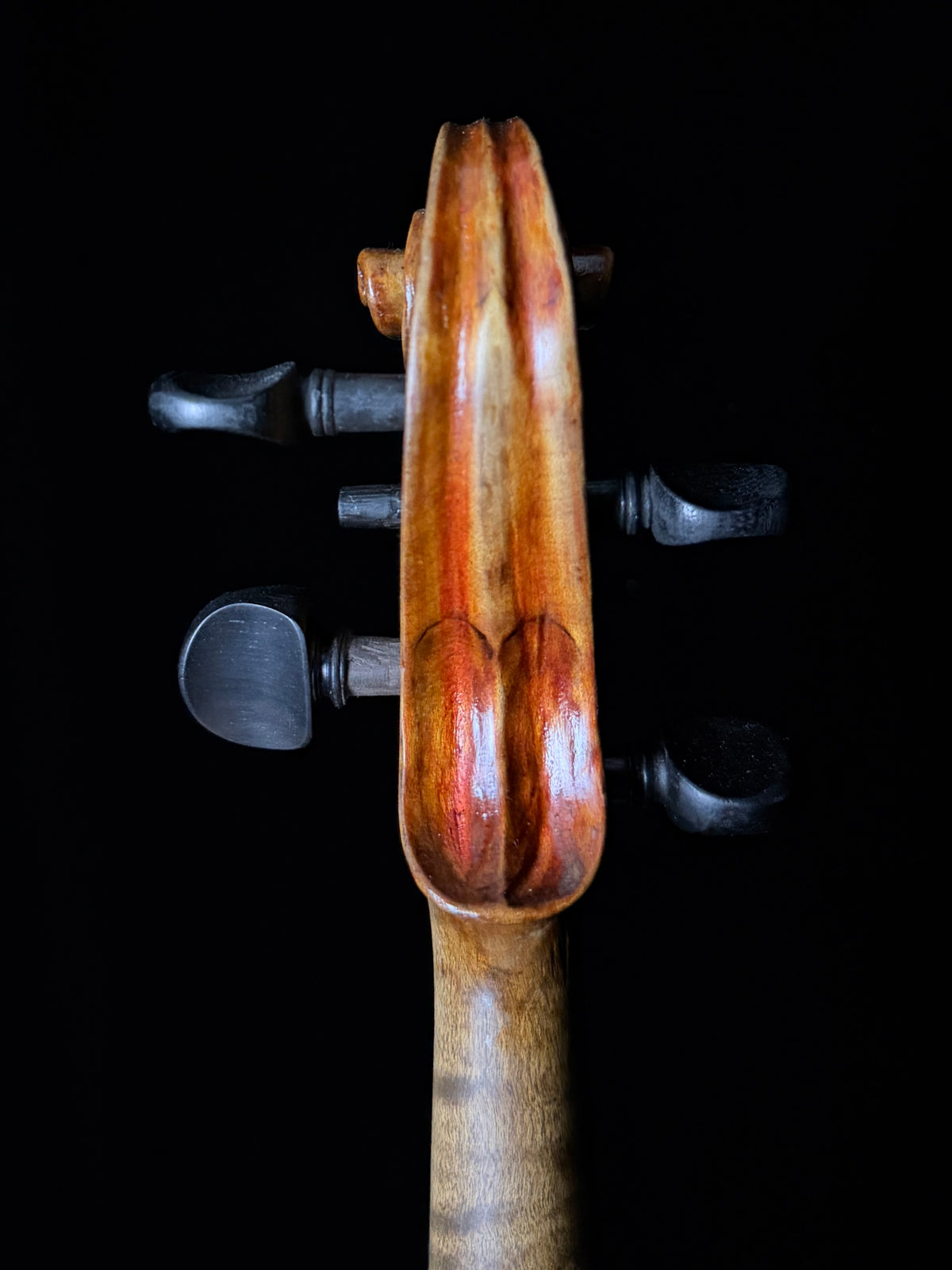Carolus Bor Dovrak Violin - Used