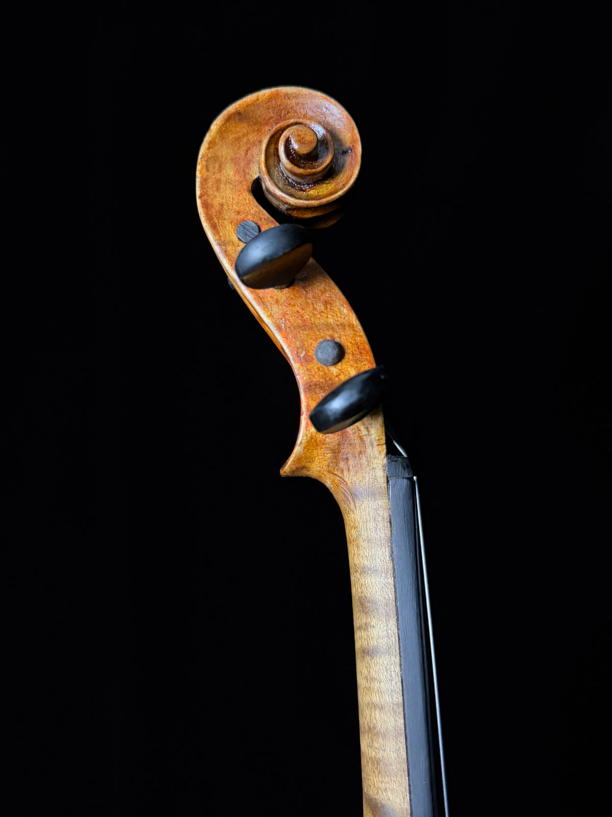 Carolus Bor Dovrak Violin - Used