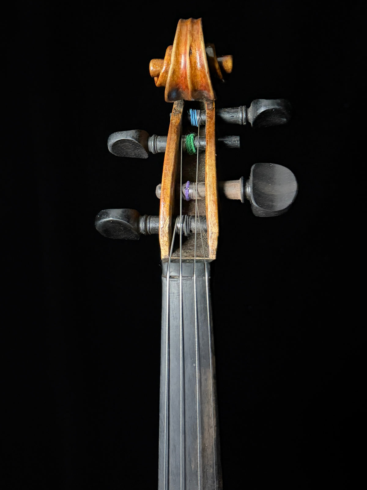 Carolus Bor Dovrak Violin - Used