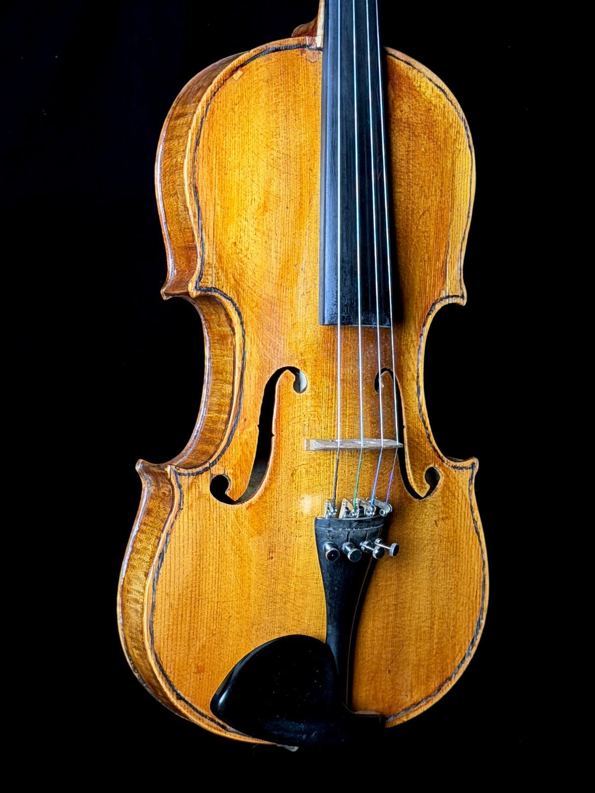 Carolus Bor Dovrak Violin - Used
