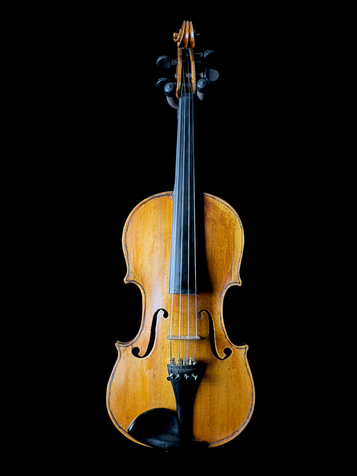 Carolus Bor Dovrak Violin - Used