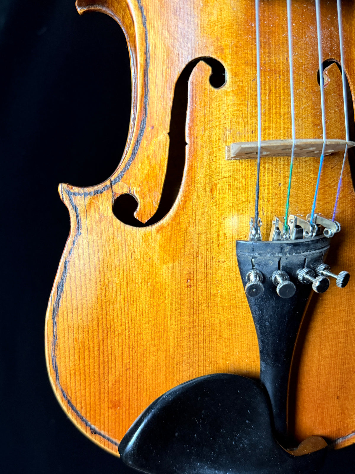 Carolus Bor Dovrak Violin - Used