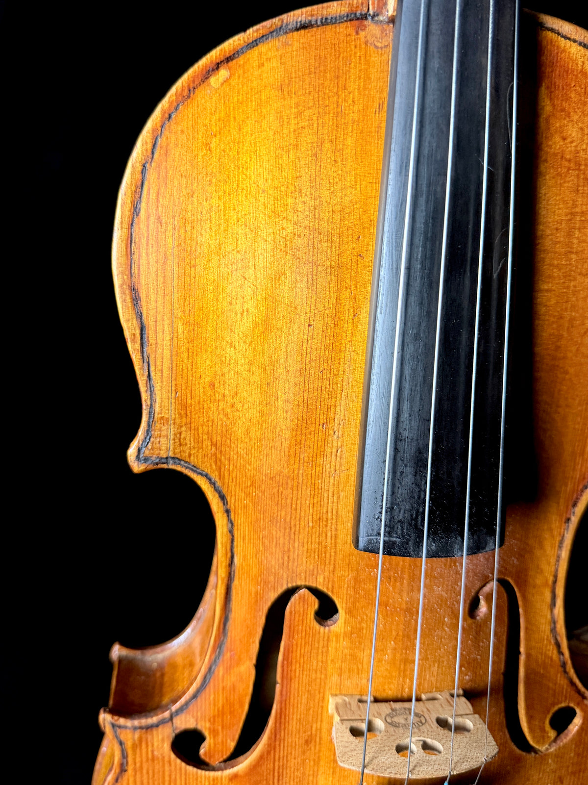 Carolus Bor Dovrak Violin - Used
