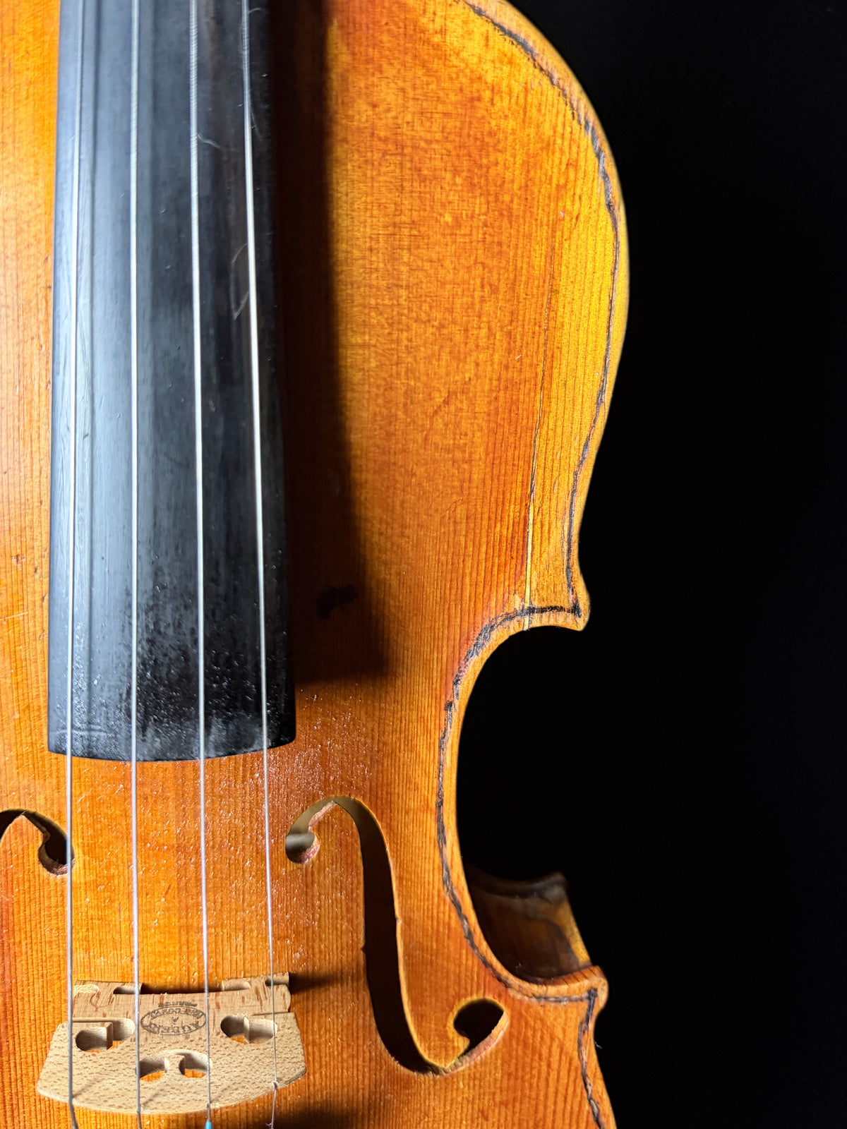 Carolus Bor Dovrak Violin - Used