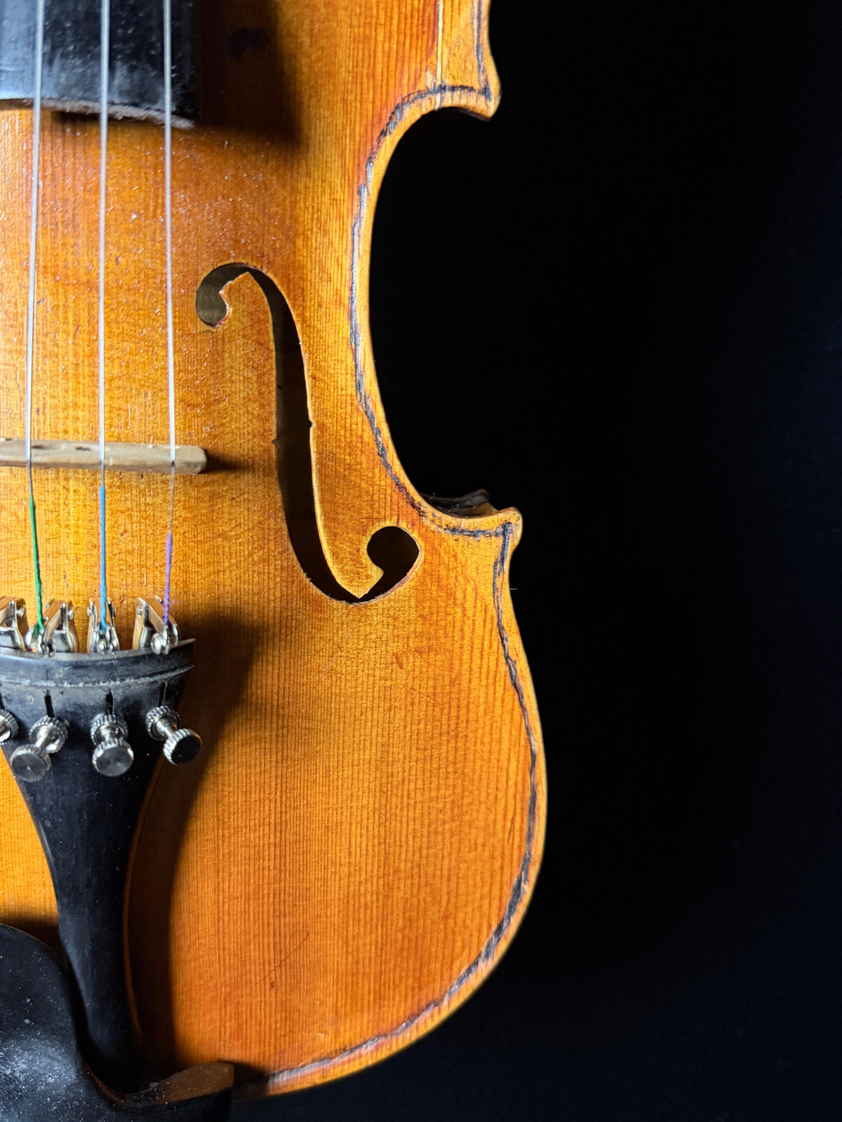 Carolus Bor Dovrak Violin - Used