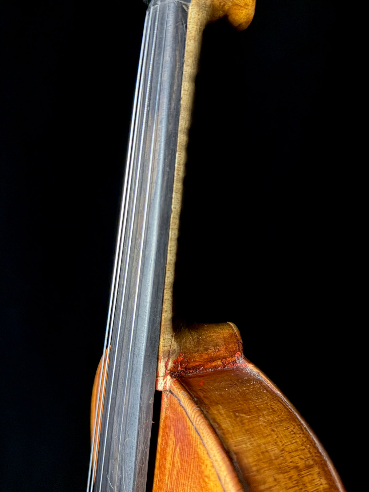 Carolus Bor Dovrak Violin - Used
