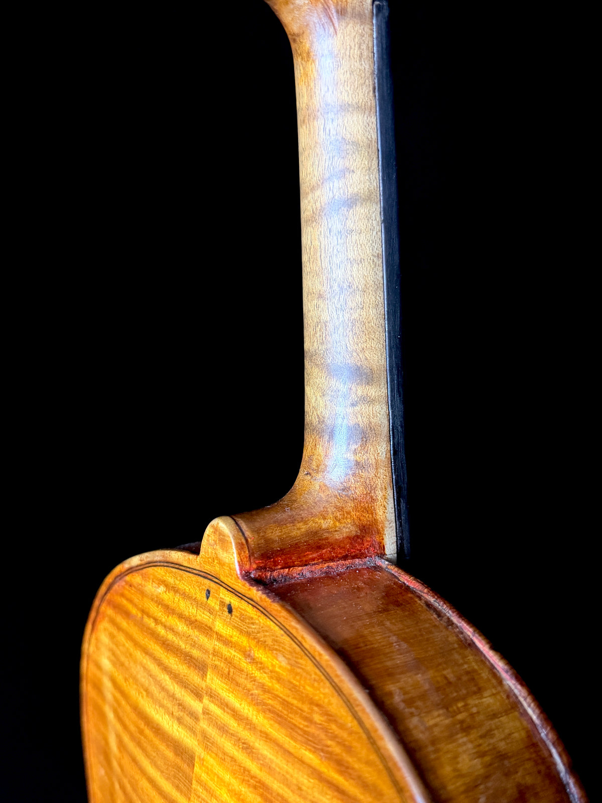 Carolus Bor Dovrak Violin - Used