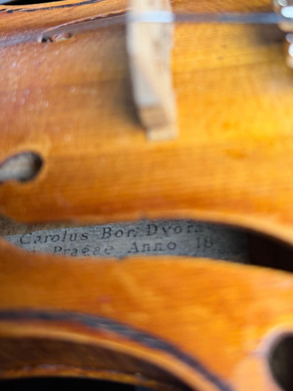 Carolus Bor Dovrak Violin - Used