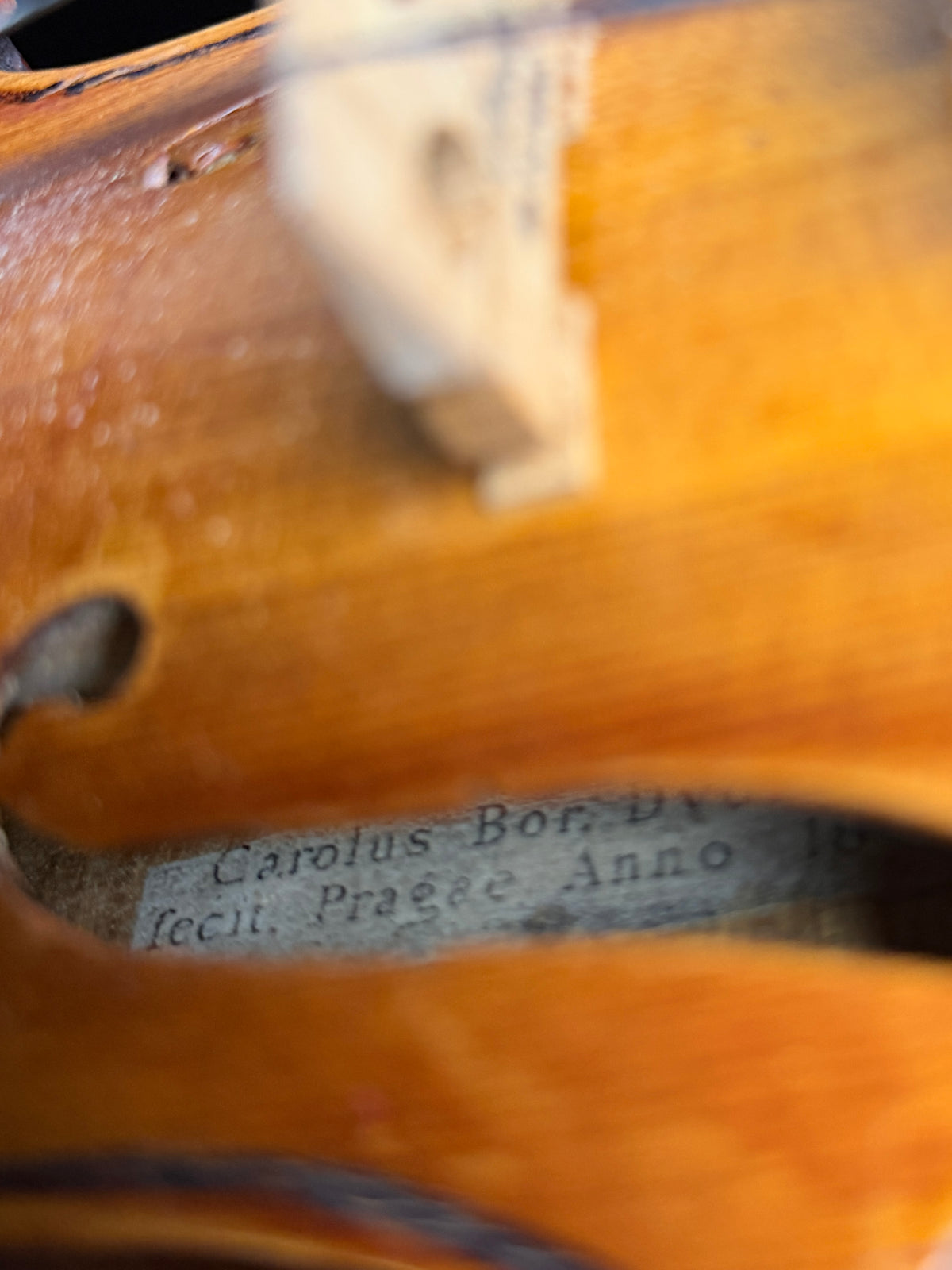 Carolus Bor Dovrak Violin - Used