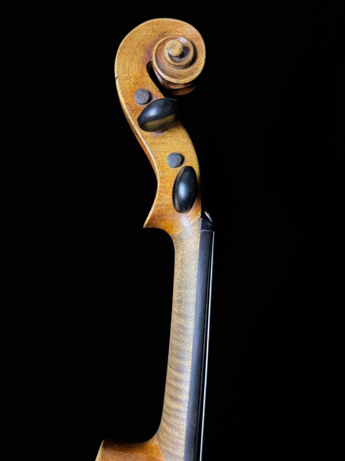 Copy of Antonius Stradiuarins Violin - Used