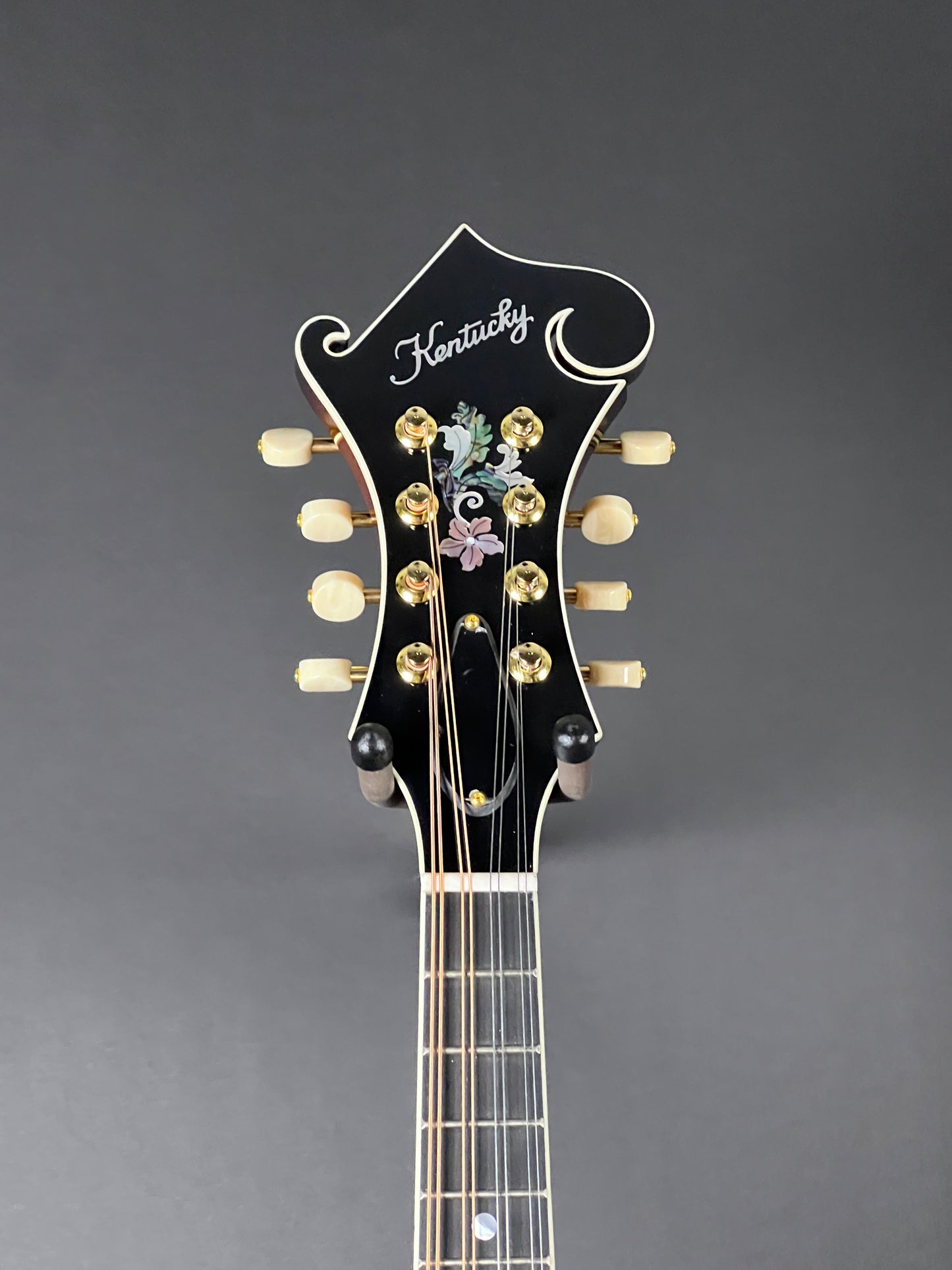 SOLD - Kentucky KM-850 F-Style Mandolin