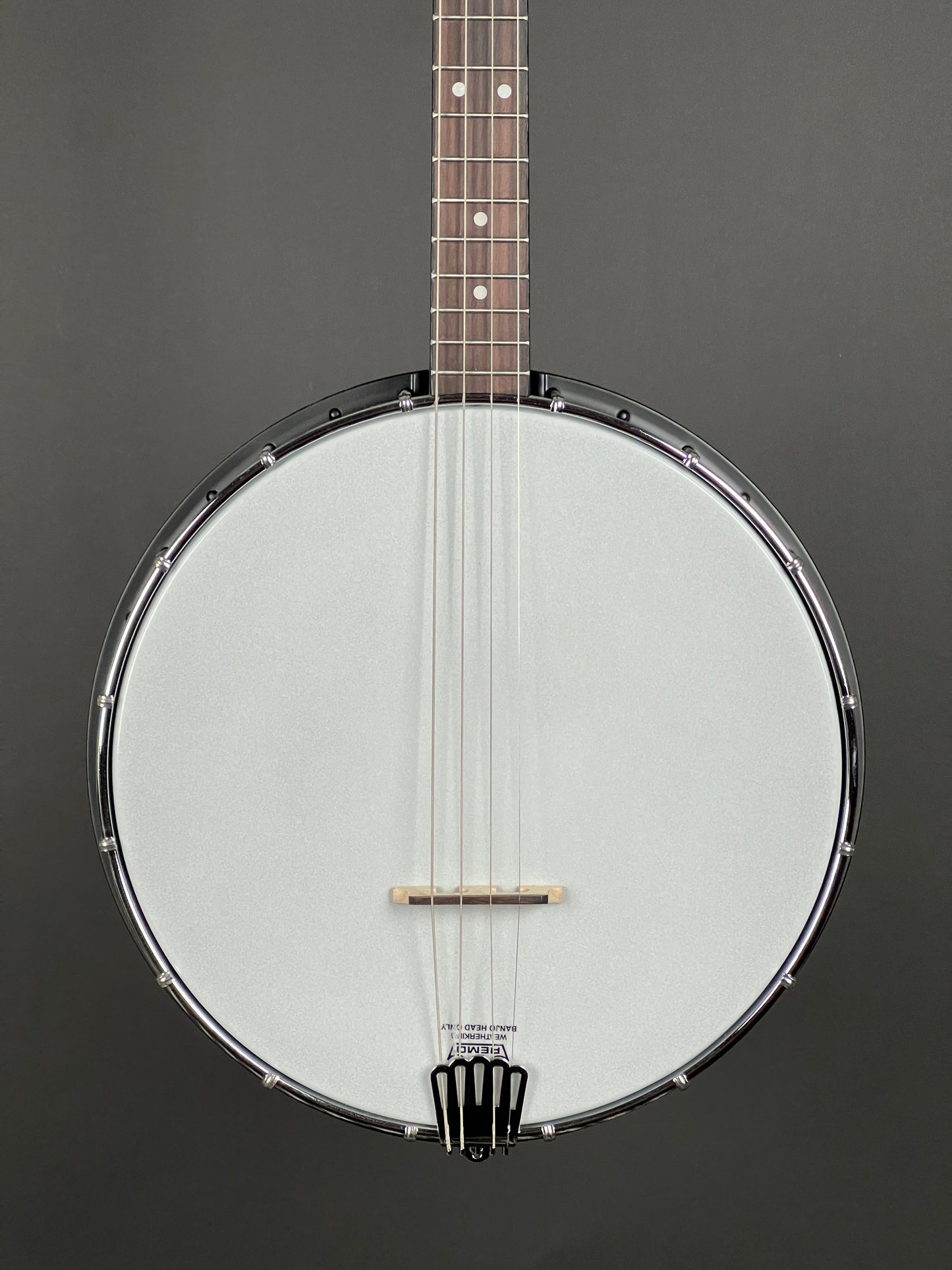 SOLD - Gold Tone Acoustic Composite 4-String Openback Irish Tenor Banjo - New