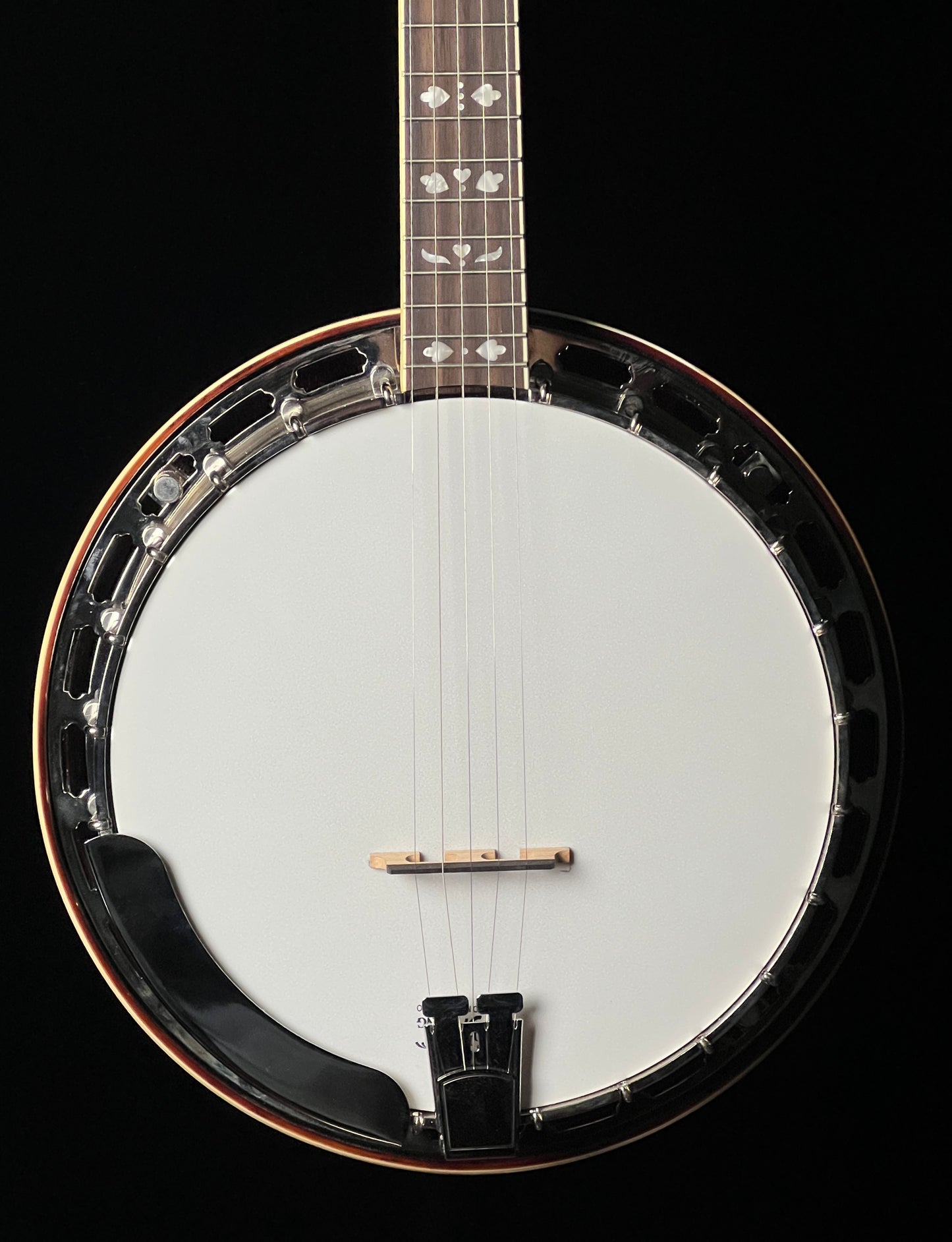 Recording King RK-R20 Tone Ring "Songster" 5-String Banjo - New