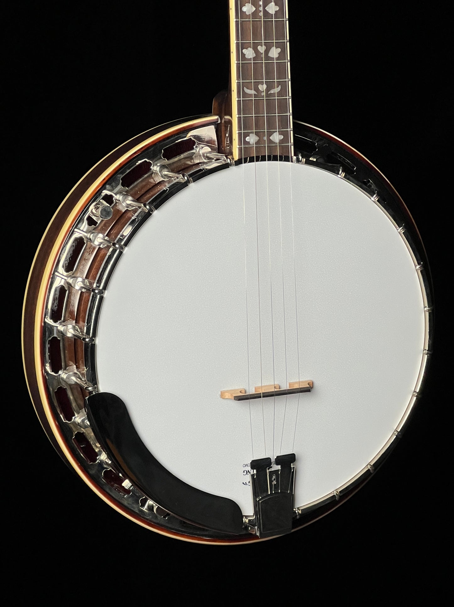 Recording King RK-R20 Tone Ring "Songster" 5-String Banjo - New