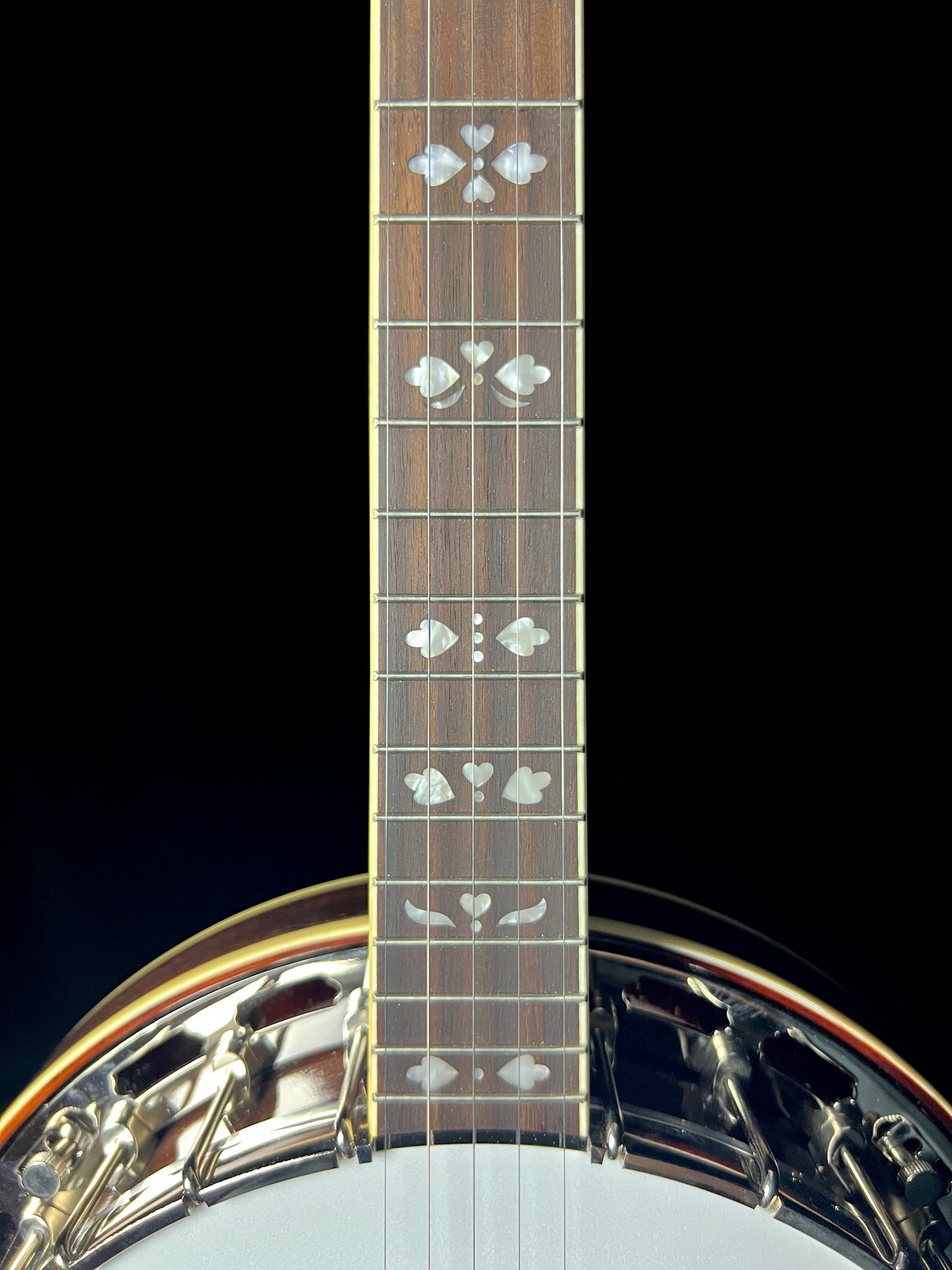 Recording King RK-R20 Tone Ring "Songster" 5-String Banjo - New