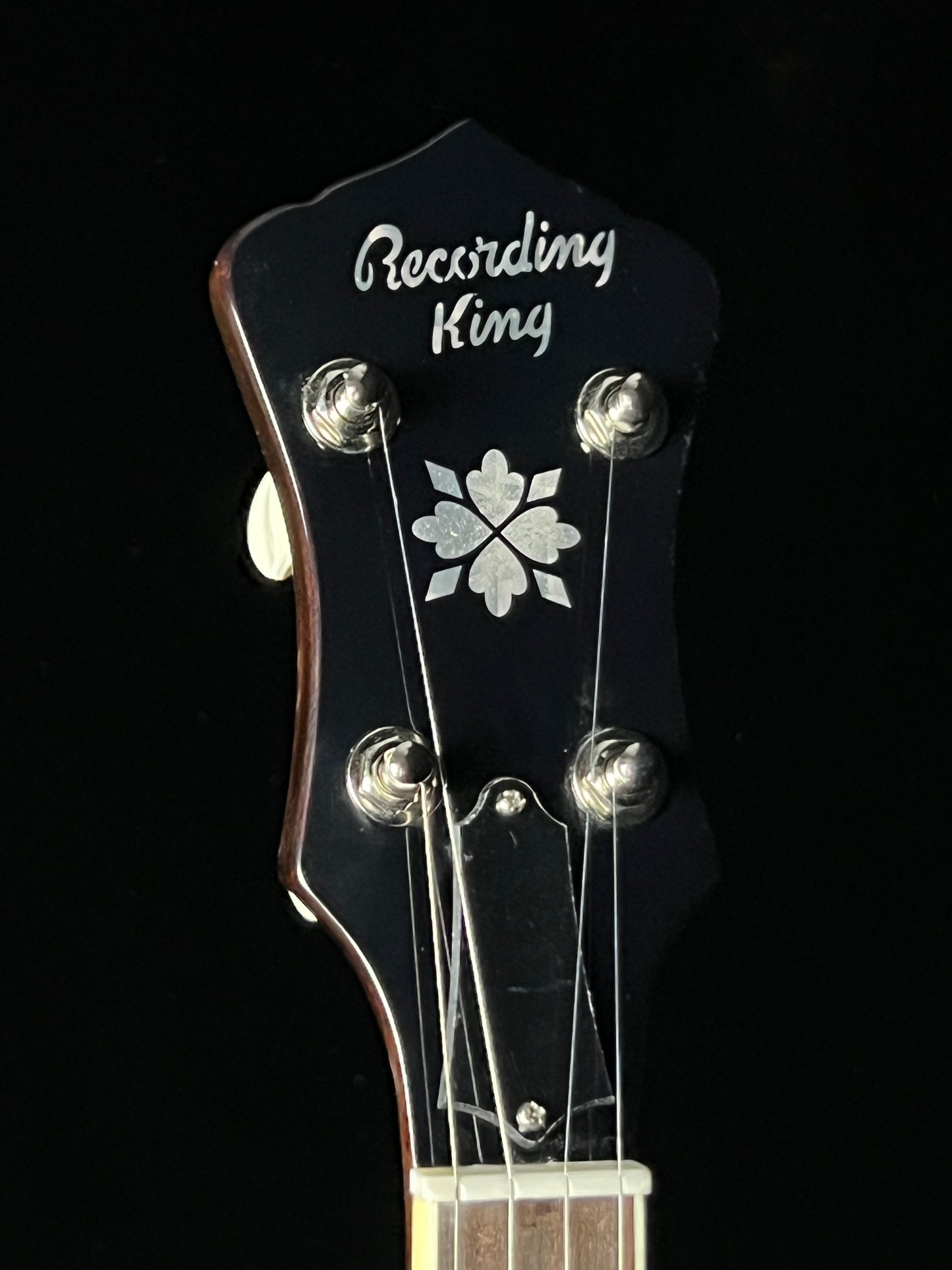 Recording King RK-R20 Tone Ring "Songster" 5-String Banjo - New