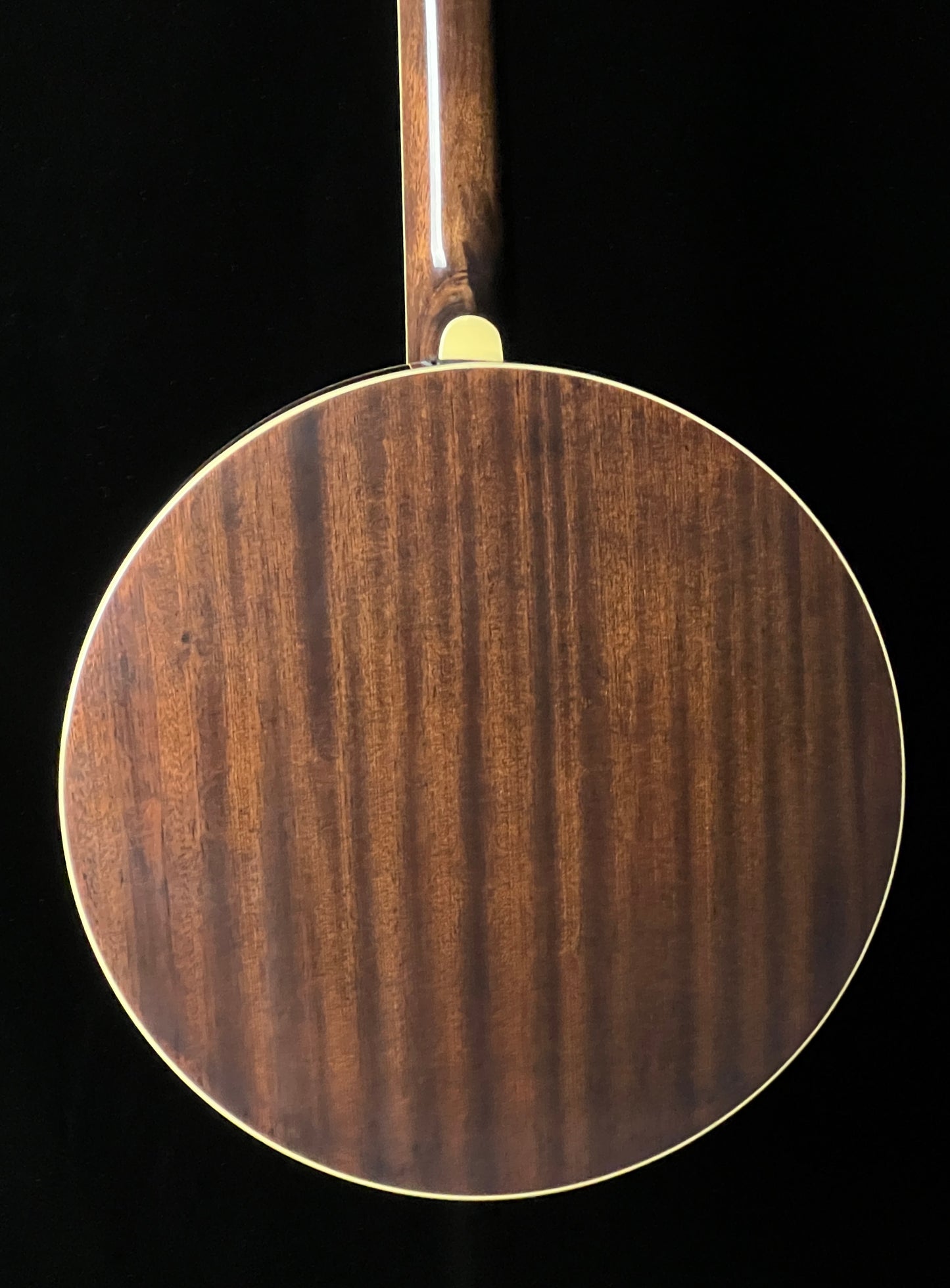 Recording King RK-R20 Tone Ring "Songster" 5-String Banjo - New