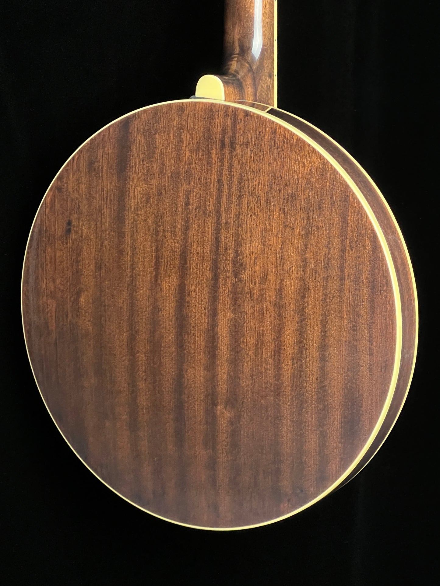 Recording King RK-R20 Tone Ring "Songster" 5-String Banjo - New