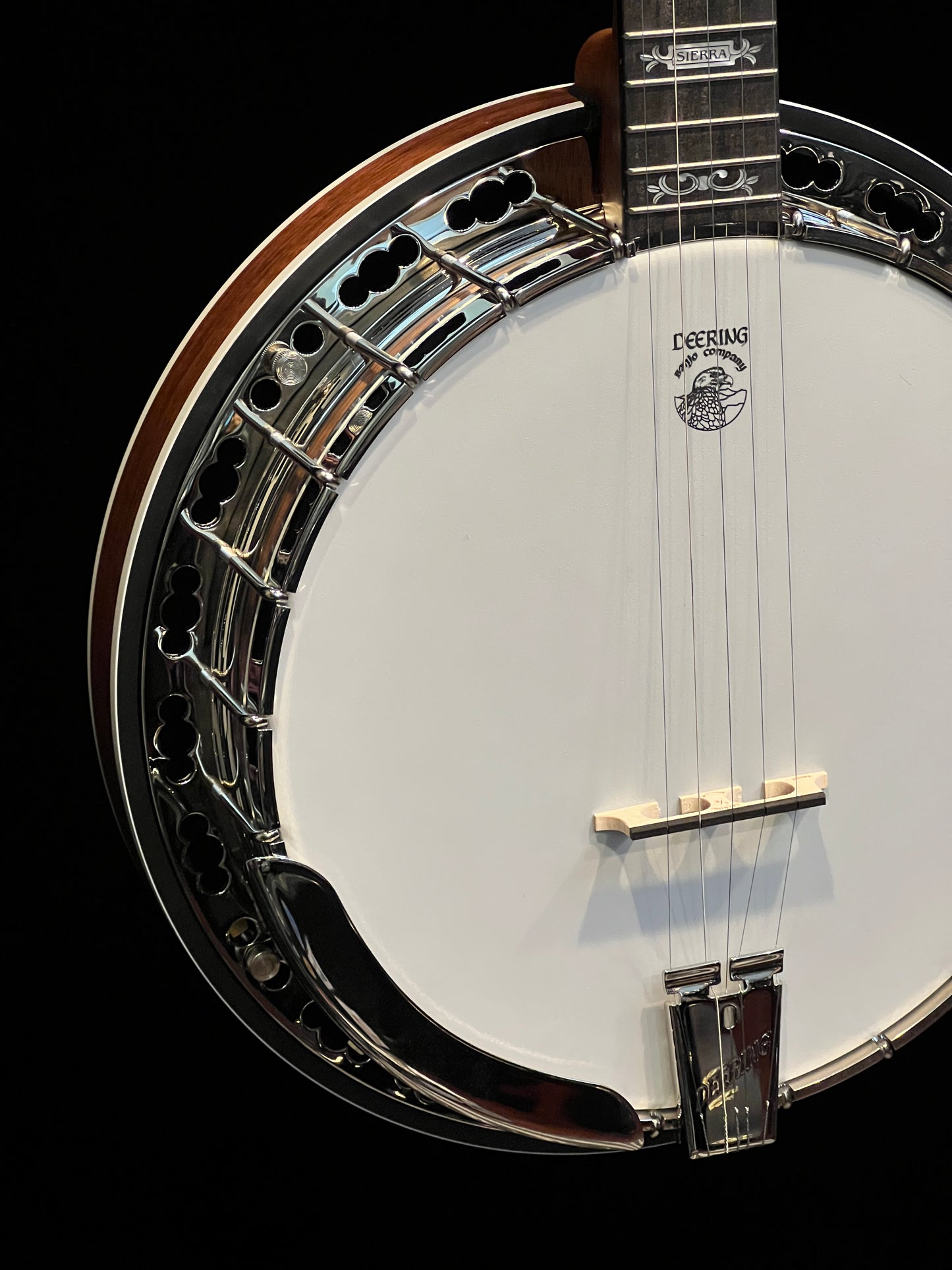 Deering Sierra 5-String Banjo - New