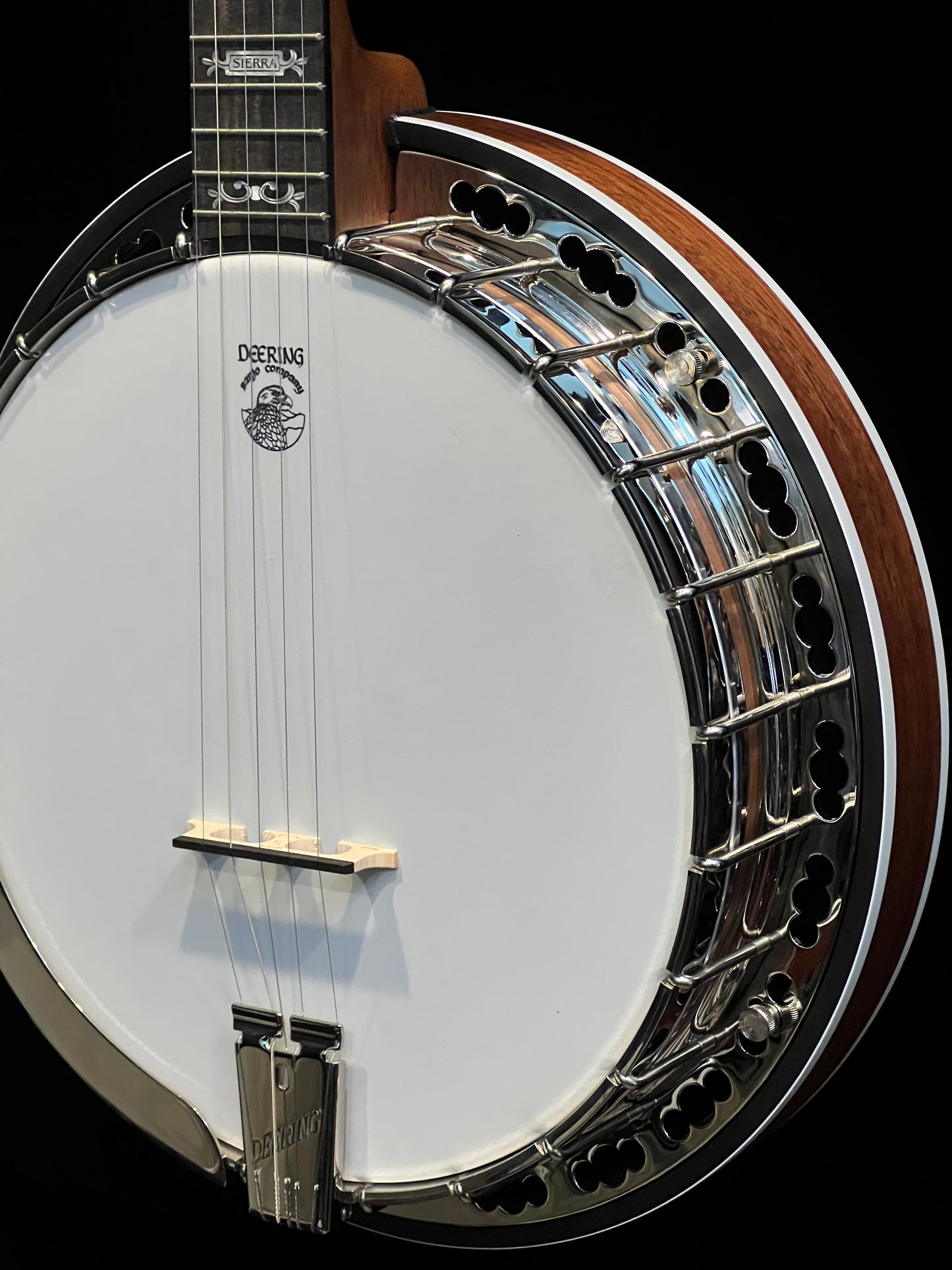 Deering Sierra 5-String Banjo - New