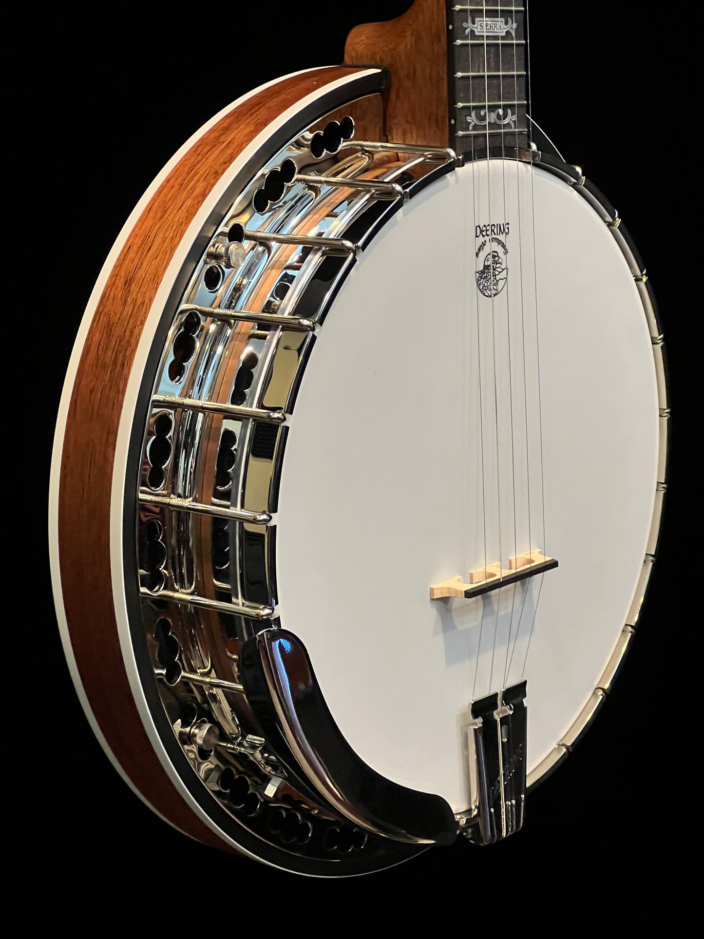 Deering Sierra 5-String Banjo - New