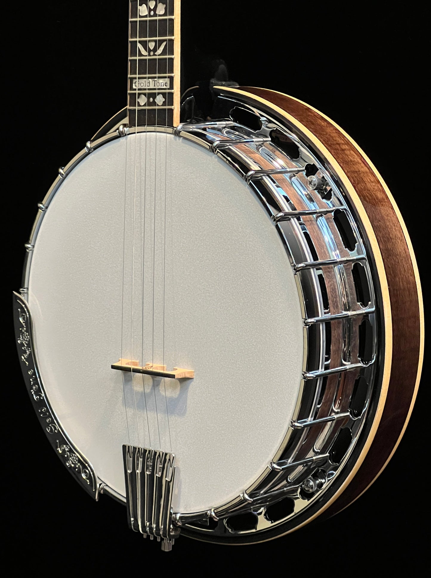 Gold Tone OB-250 Orange Blossom 5-String Banjo - New