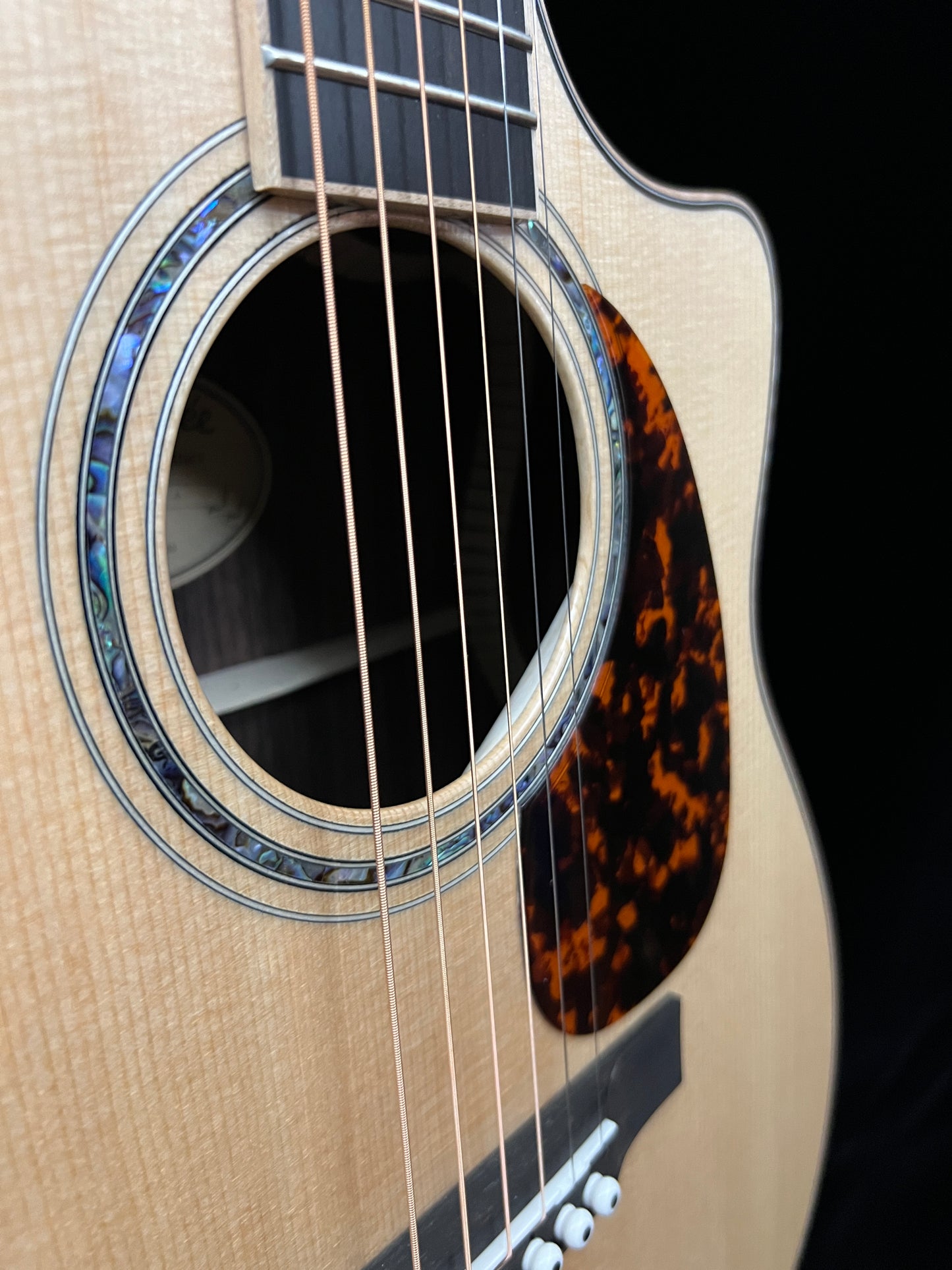 Larrivée LV-09 Sitka Spruce/Indian Rosewood Acoustic Guitar with L.R. Baggs StagePro Anthem - New