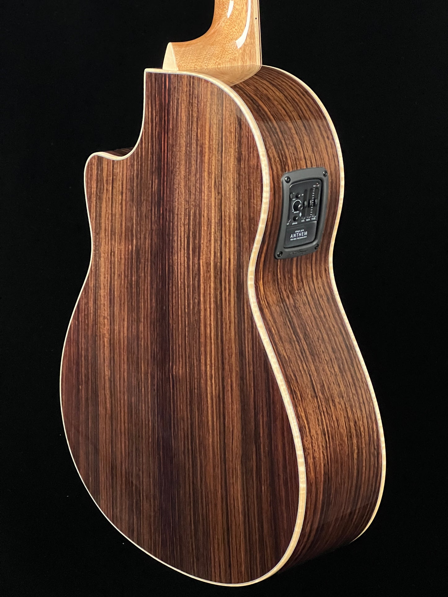 Larrivée LV-09 Sitka Spruce/Indian Rosewood Acoustic Guitar with L.R. Baggs StagePro Anthem - New