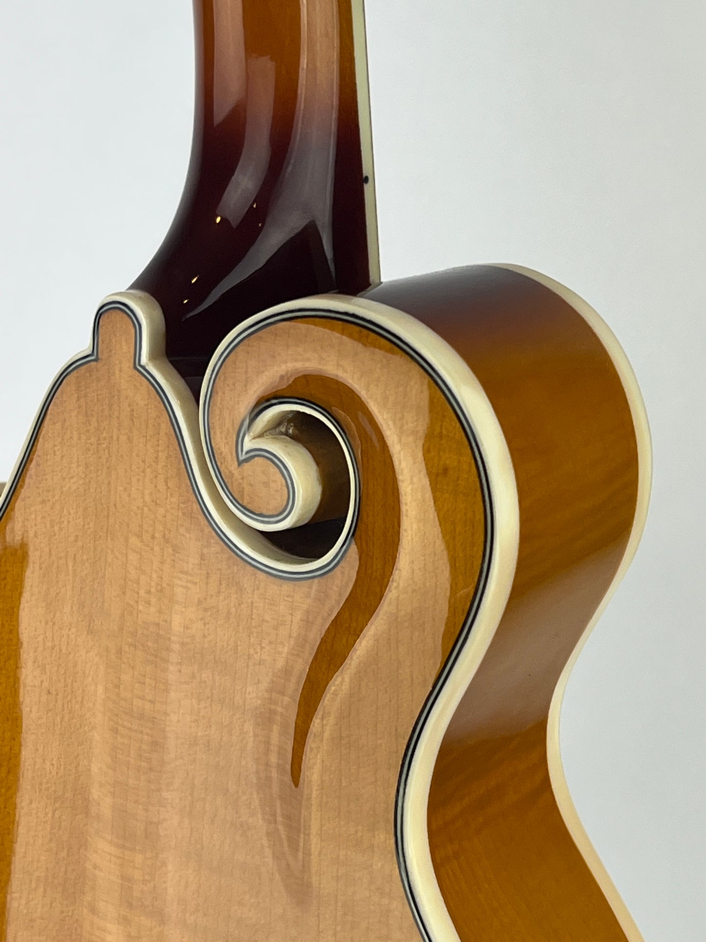 SOLD - Rover RM-75 Mandolin - New