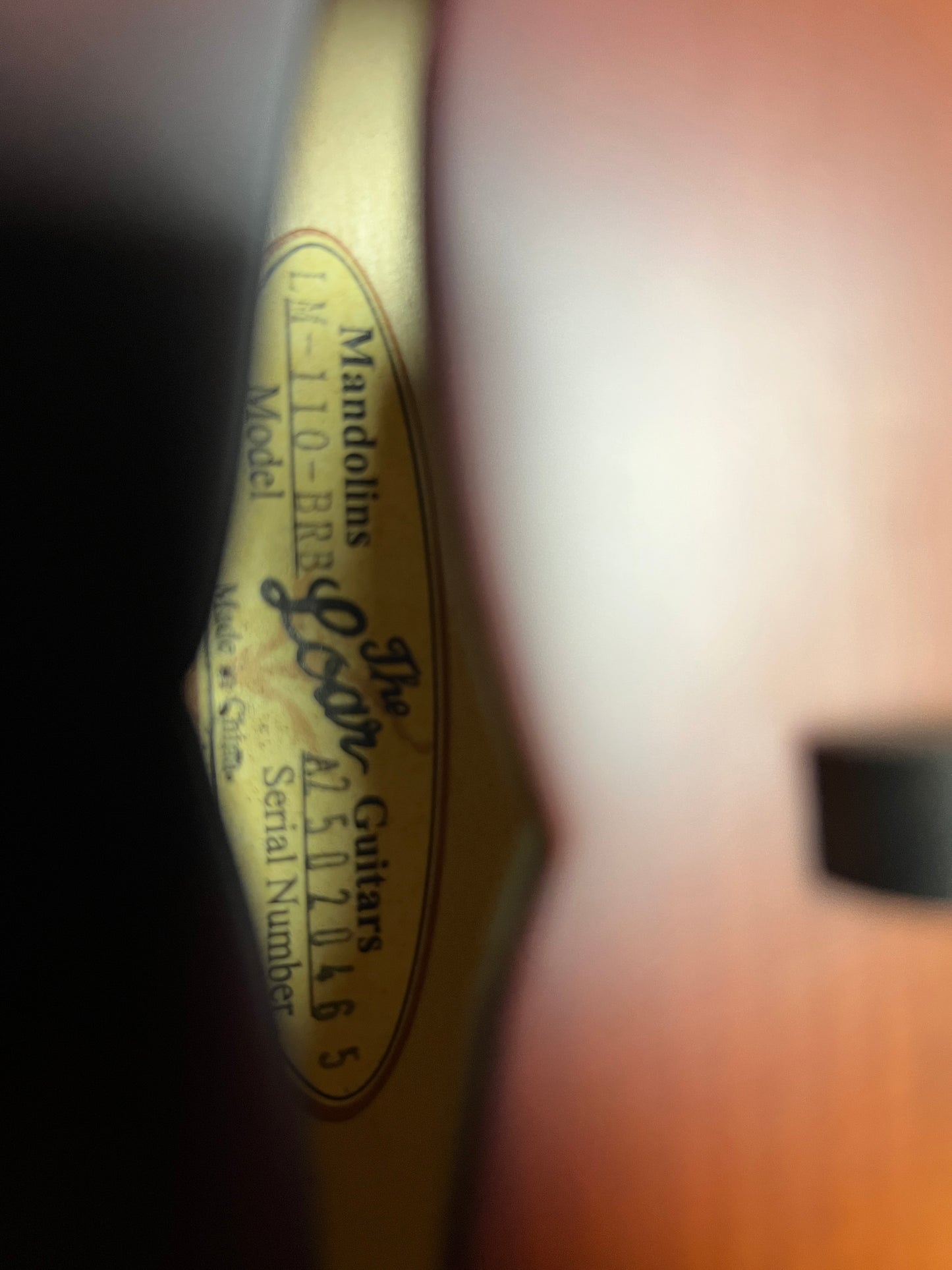 The Loar LM-110-BRB Honey Creek A-Style Mandolin - New