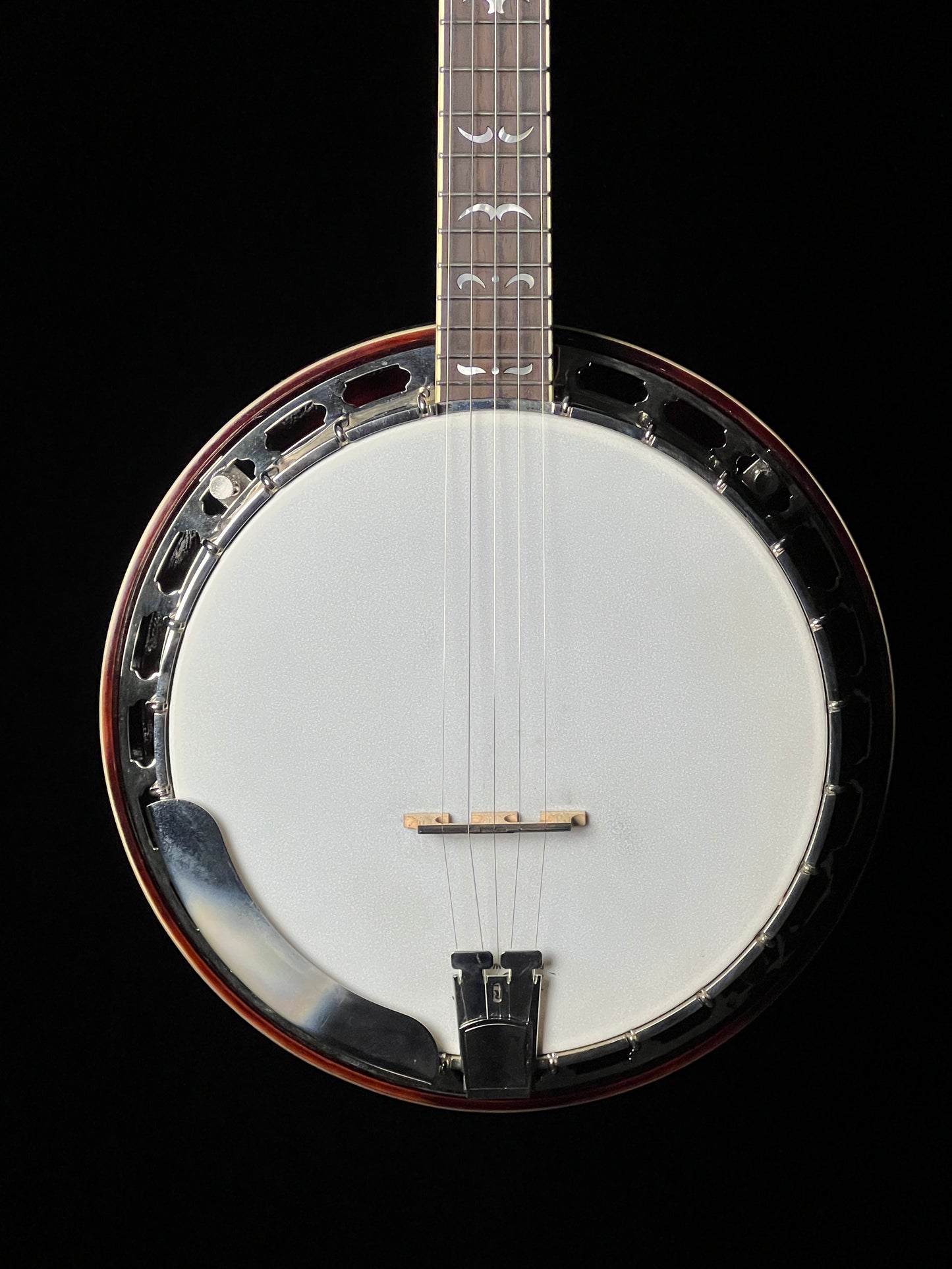 Recording King RK-36 5-String Banjo - Used