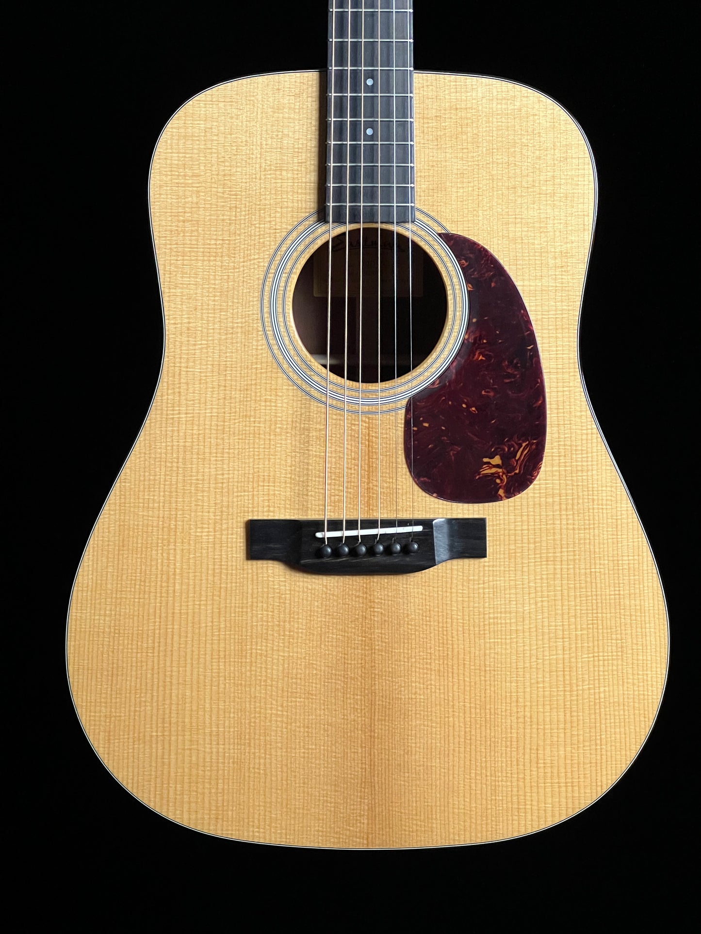 Eastman E10D-TC Adirondack Spruce/Mahogany Dreadnought Acoustic Guitar - New