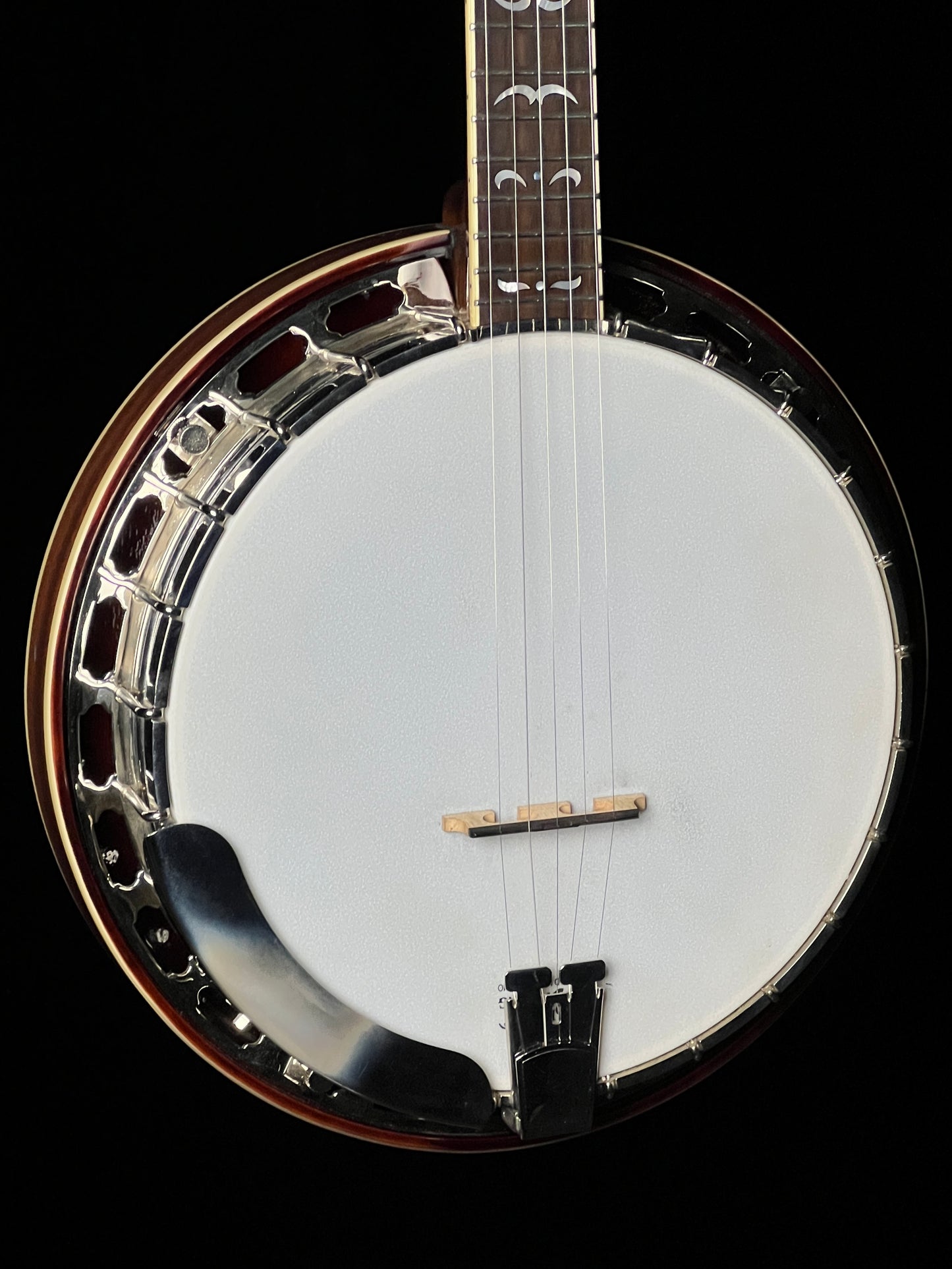 Recording King RK-36 5-String Banjo - Used
