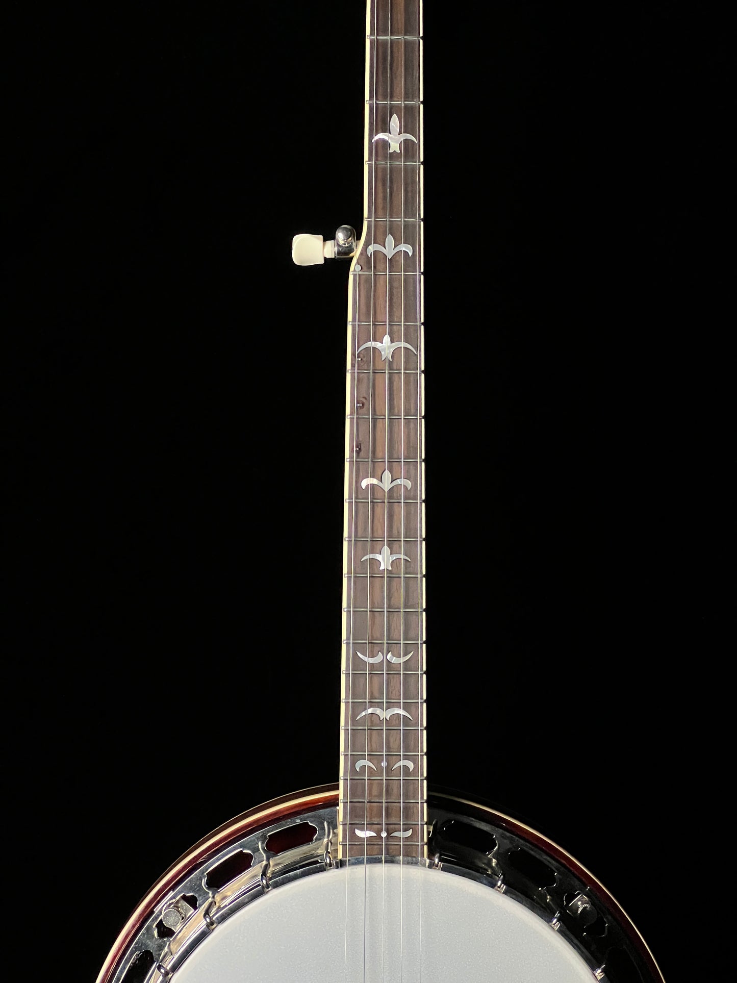 Recording King RK-36 5-String Banjo - Used