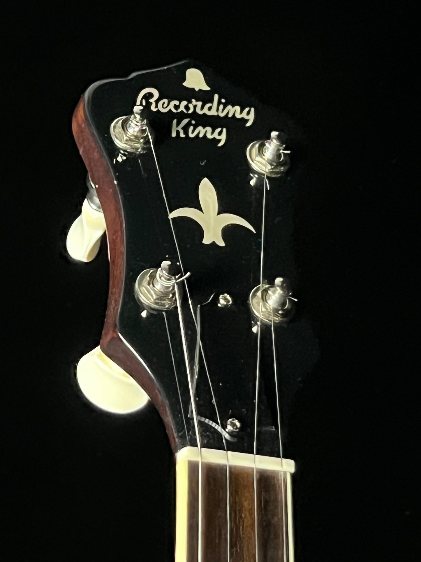 Recording King RK-36 5-String Banjo - Used