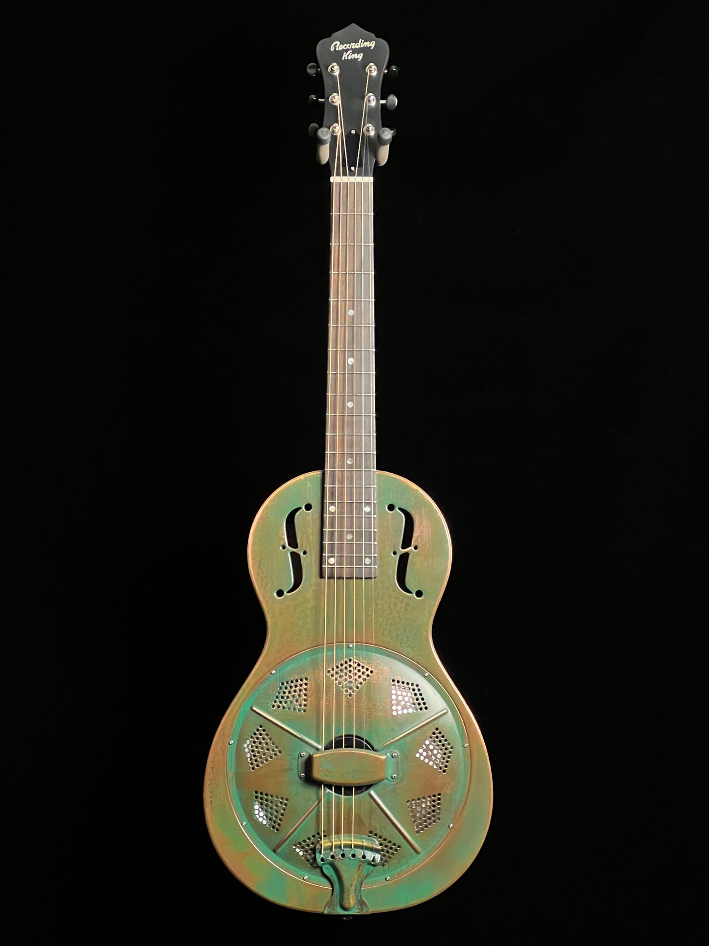 SOLD - Recording King Swamp Dog RM-993-VG Metal Body Resonator Parlor Guitar - New