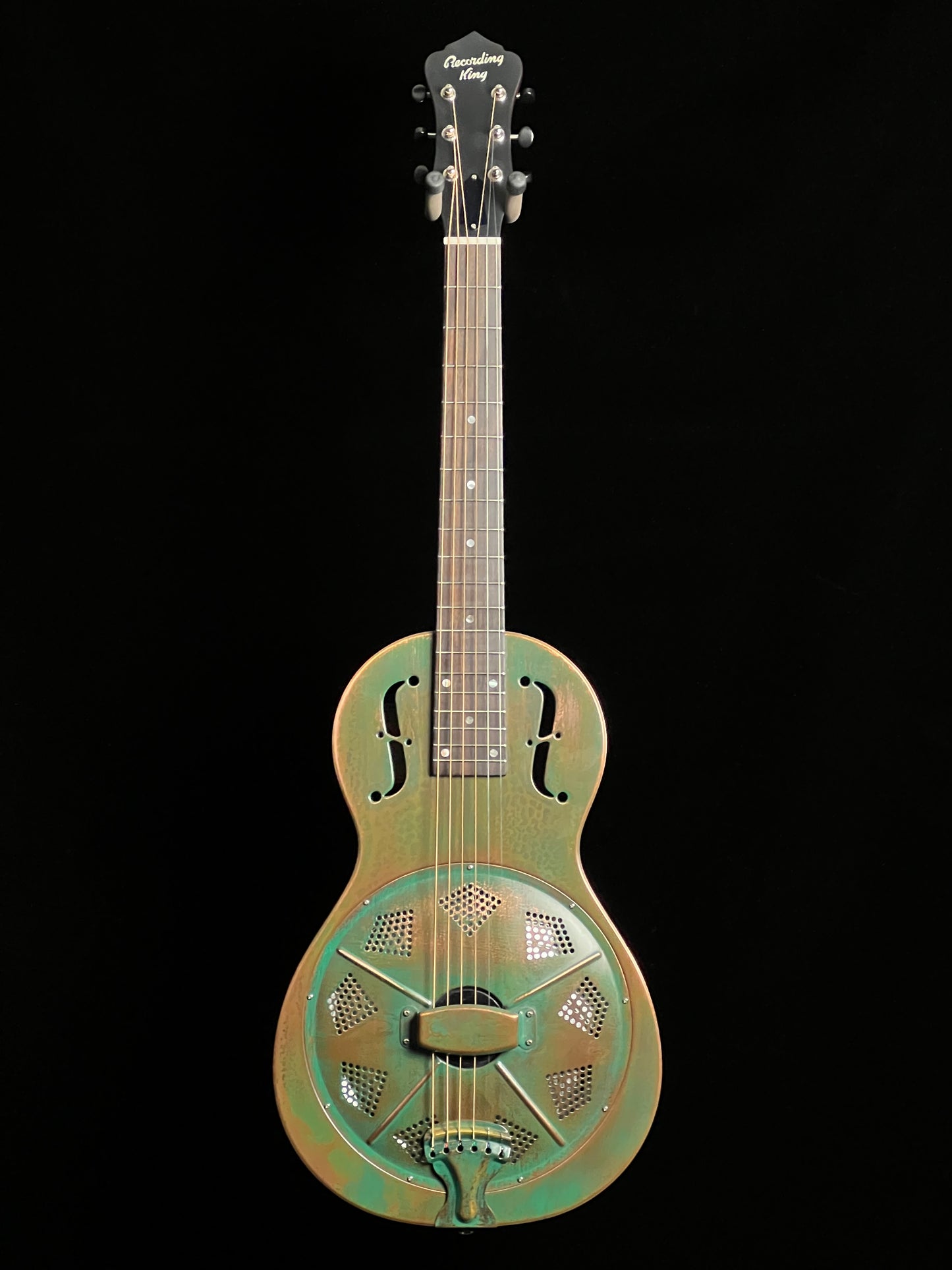 Recording King Swamp Dog RM-993-VG Metal Body Resonator Parlor Guitar - New