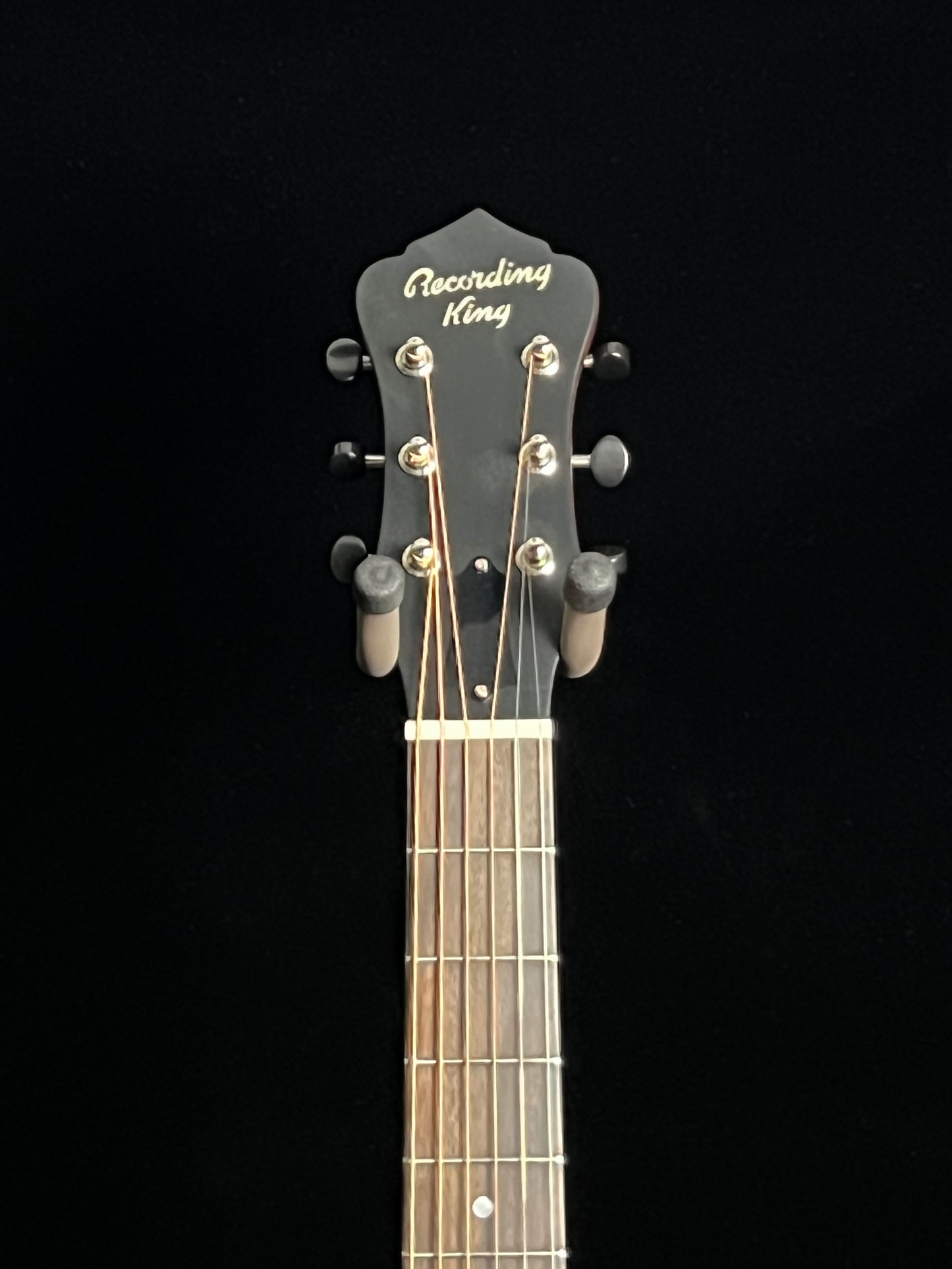 SOLD - Recording King Swamp Dog RM-993-VG Metal Body Resonator Parlor Guitar - New