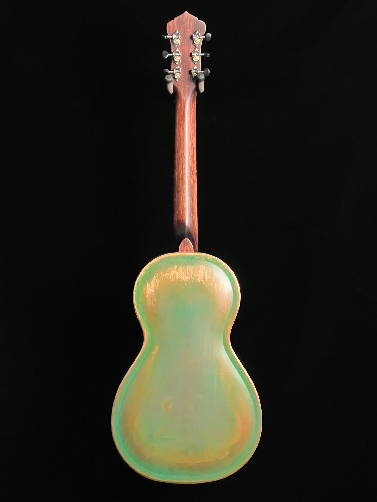 SOLD - Recording King Swamp Dog RM-993-VG Metal Body Resonator Parlor Guitar - New