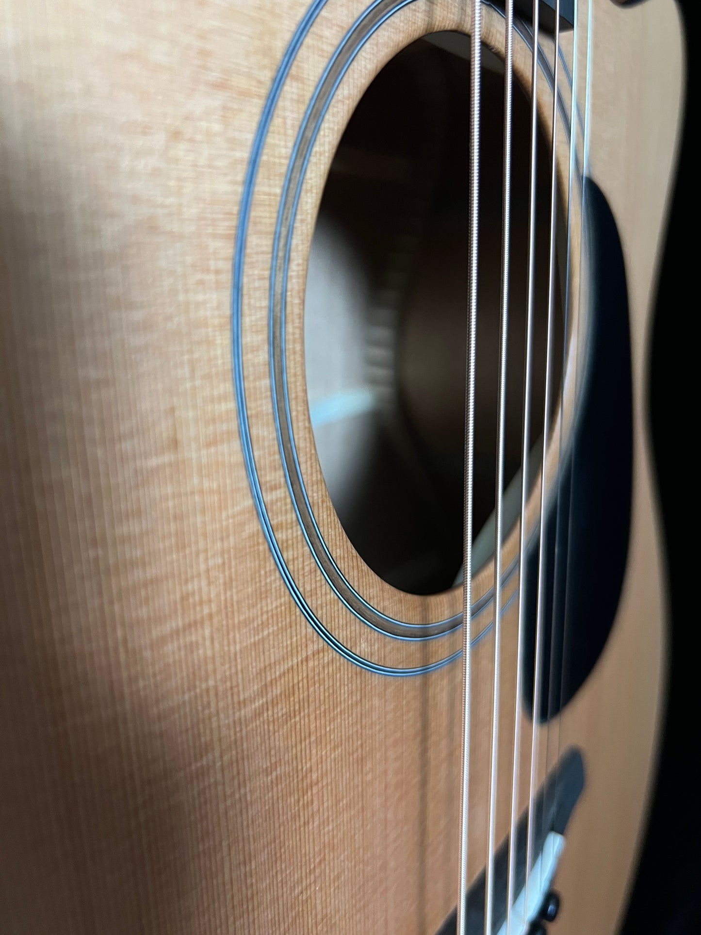 SOLD - Furch Blue Deluxe Gc-CM Red Cedar/African mahogany Cutaway Acoustic Guitar with LR Baggs - New