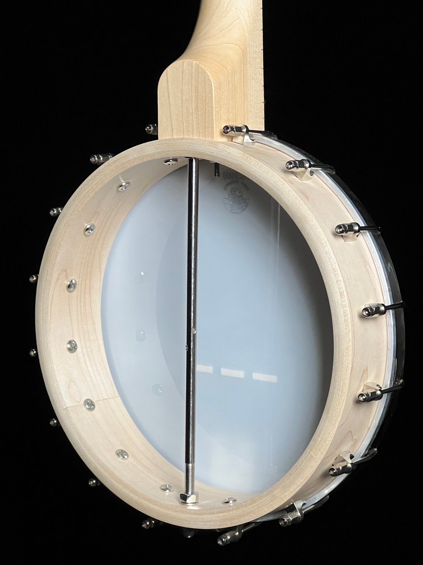 SOLD - Deering Goodtime 5-String Openback Banjo - New